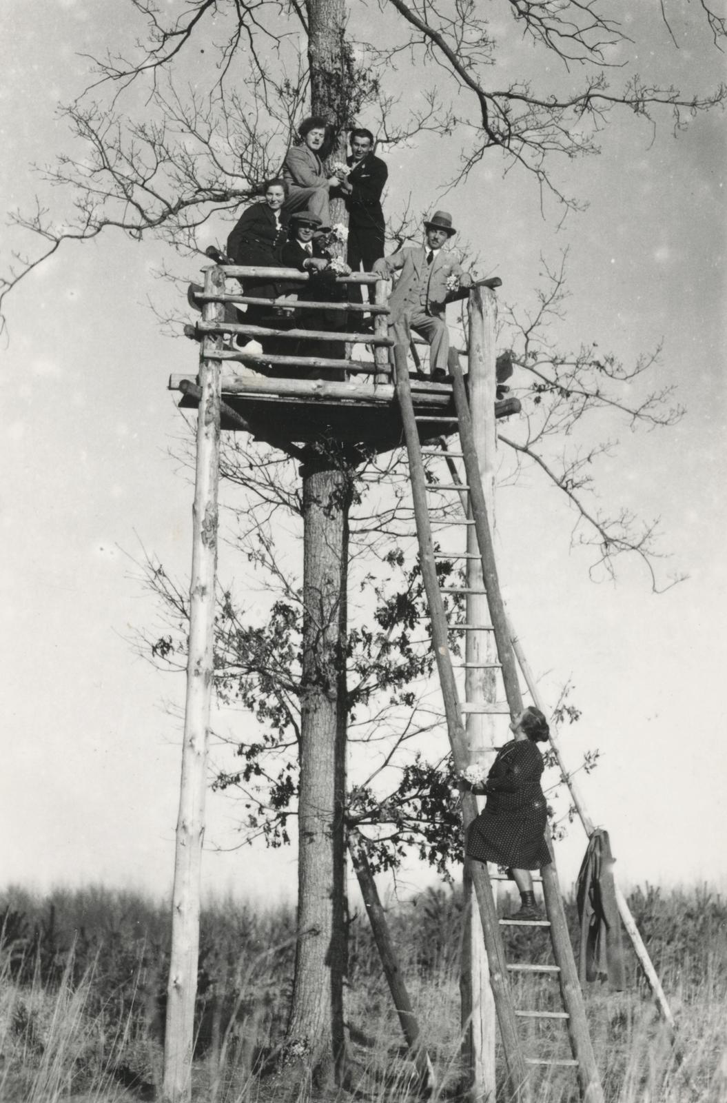 1938, Büki család, magasles, Fortepan #233711