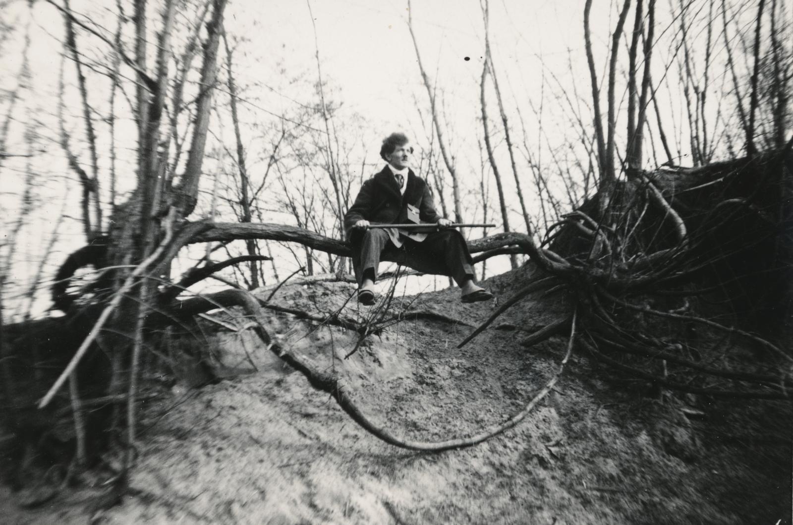 1938, Büki család, wide sitting, bottom view, sitting on a tree, Fortepan #233725