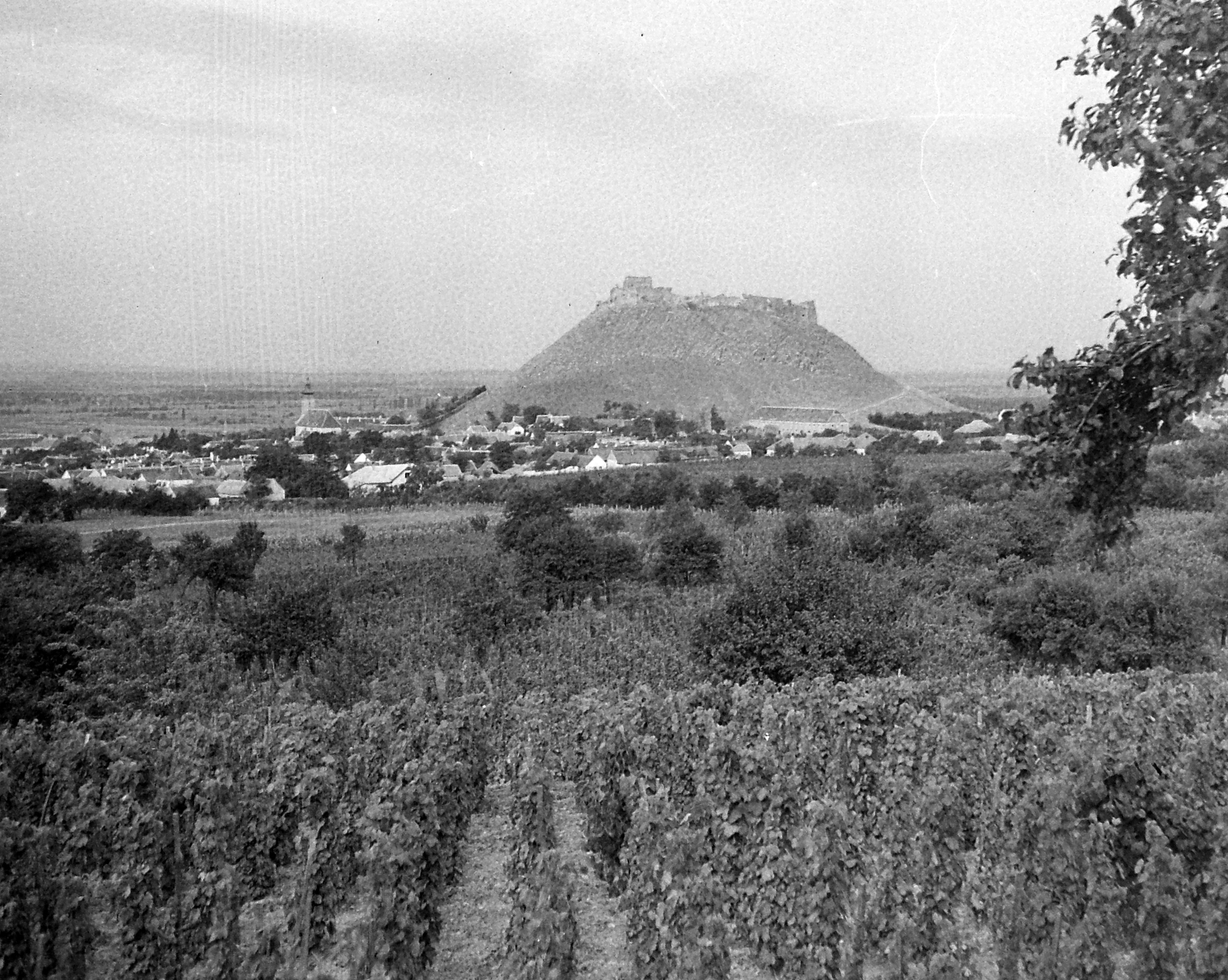 Magyarország, Sümeg, a város az Öreg-hegy felől., 1950, Építész, látkép, vár, Fortepan #23376