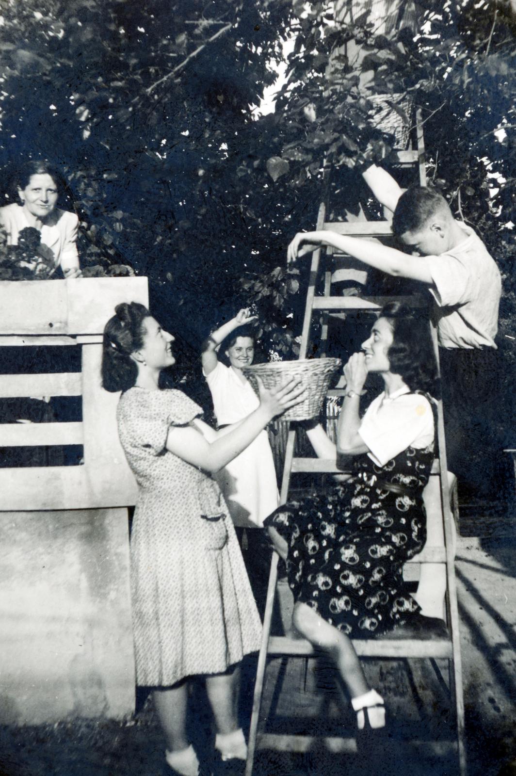 1942, Palágyi Bálint, Fortepan #233976