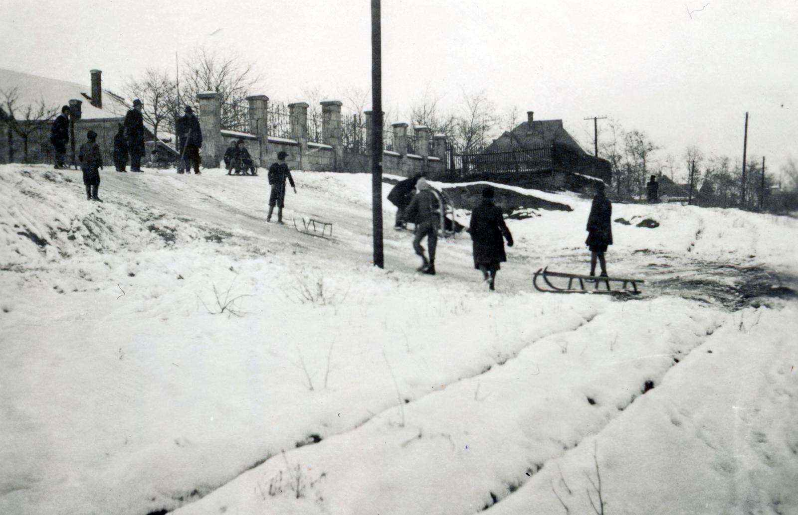 1943, Palágyi Bálint, sledge, snowy landscape, Fortepan #233981
