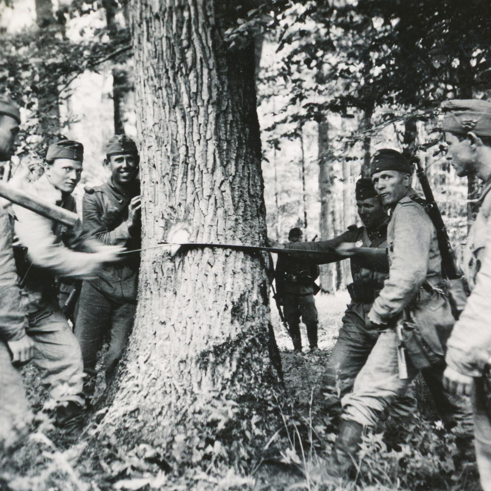 1942, Cserey Zoltán, fakitermelés, Fortepan #234002