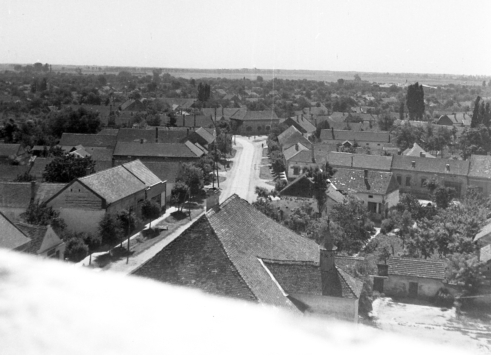 Hungary, Makó, kilátás a református ótemplom tetejéről, Sibrik Miklós utca., 1951, Építész, picture, Fortepan #23409