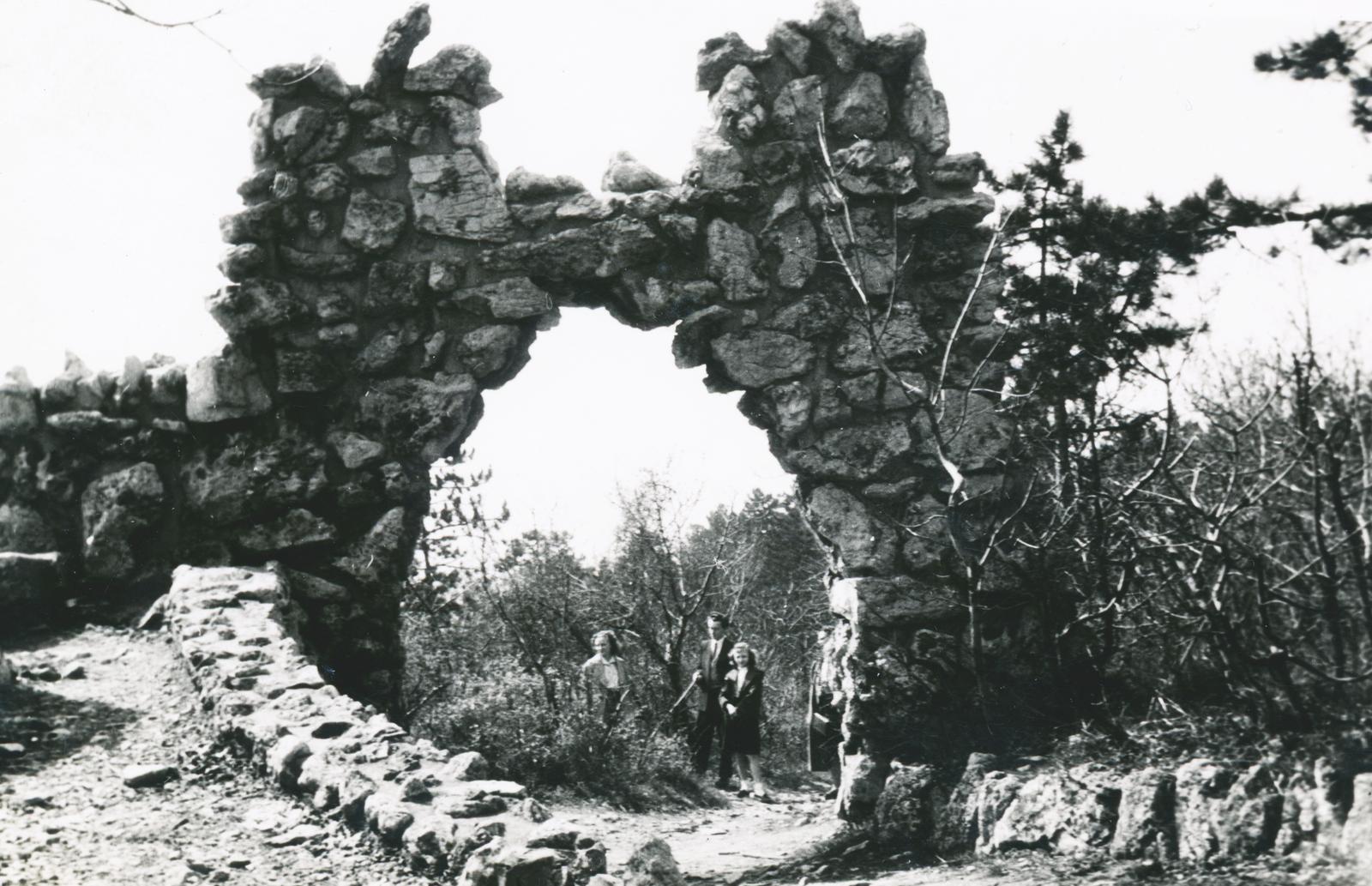 Magyarország, Budapest II., Látó-hegy / Gugger-hegy, a felvétel az Árpád kilátónál készült., 1958, Lelkes Ilka, Budapest, Fortepan #234106