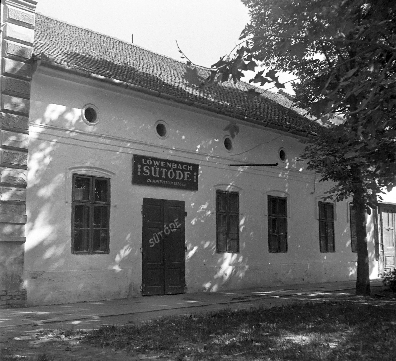 Hungary, Makó, Deák Ferenc utca, Löwenbach Benedek sütödéje., 1951, Építész, restaurant, sign-board, street view, judaism, Fortepan #23417