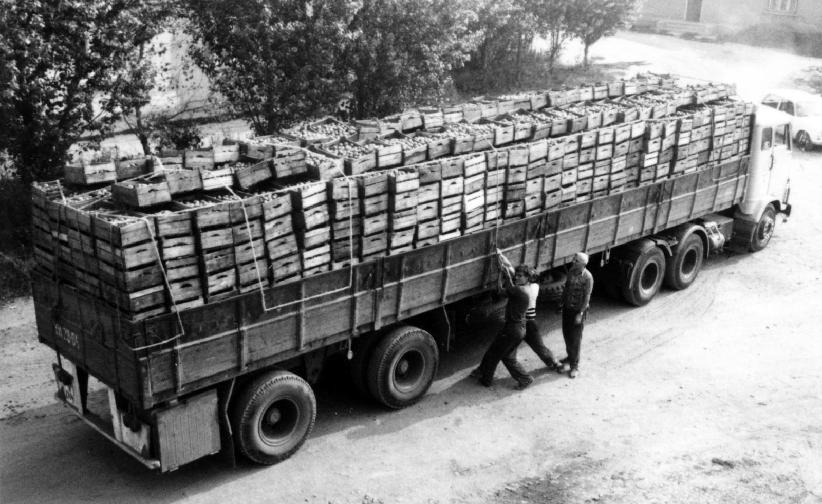 1977, Gödi Digitális Fotóarchívum, chest, commercial vehicle, Fortepan #234187