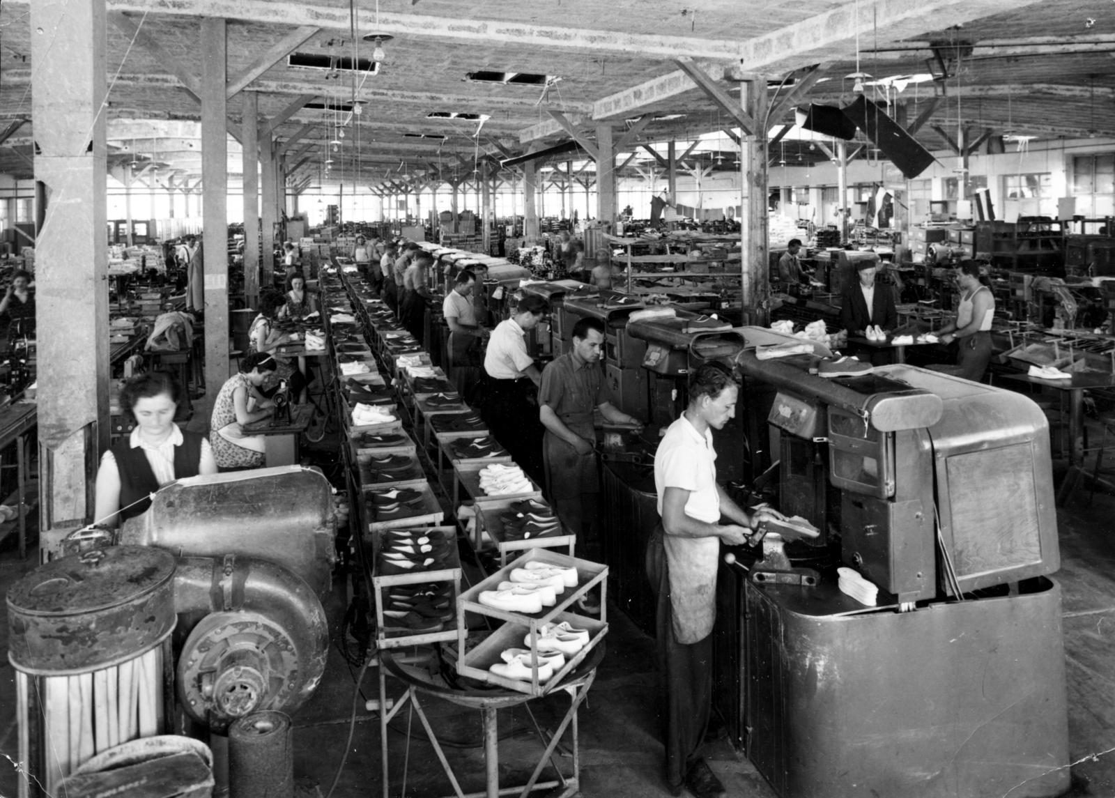 1961, Hegyvidéki Helytörténeti Gyűjtemény, factory, shoe manufacturing, Fortepan #234347