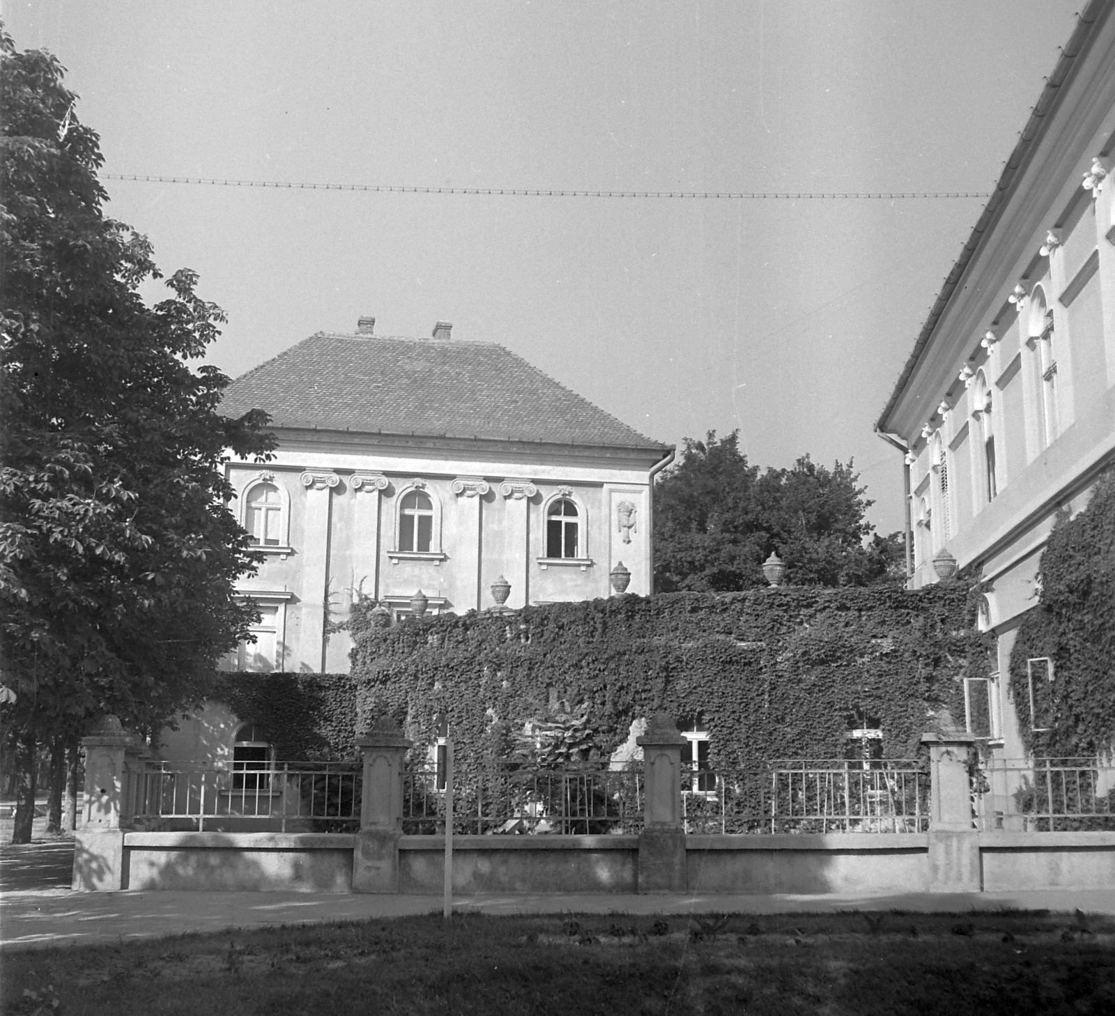 Hungary, Makó, Városháza (Megyeháza) az Úri utca - Megyeház utca (43-as főút) találkozásánál., 1951, Építész, garden, fence, capital, Fortepan #23437