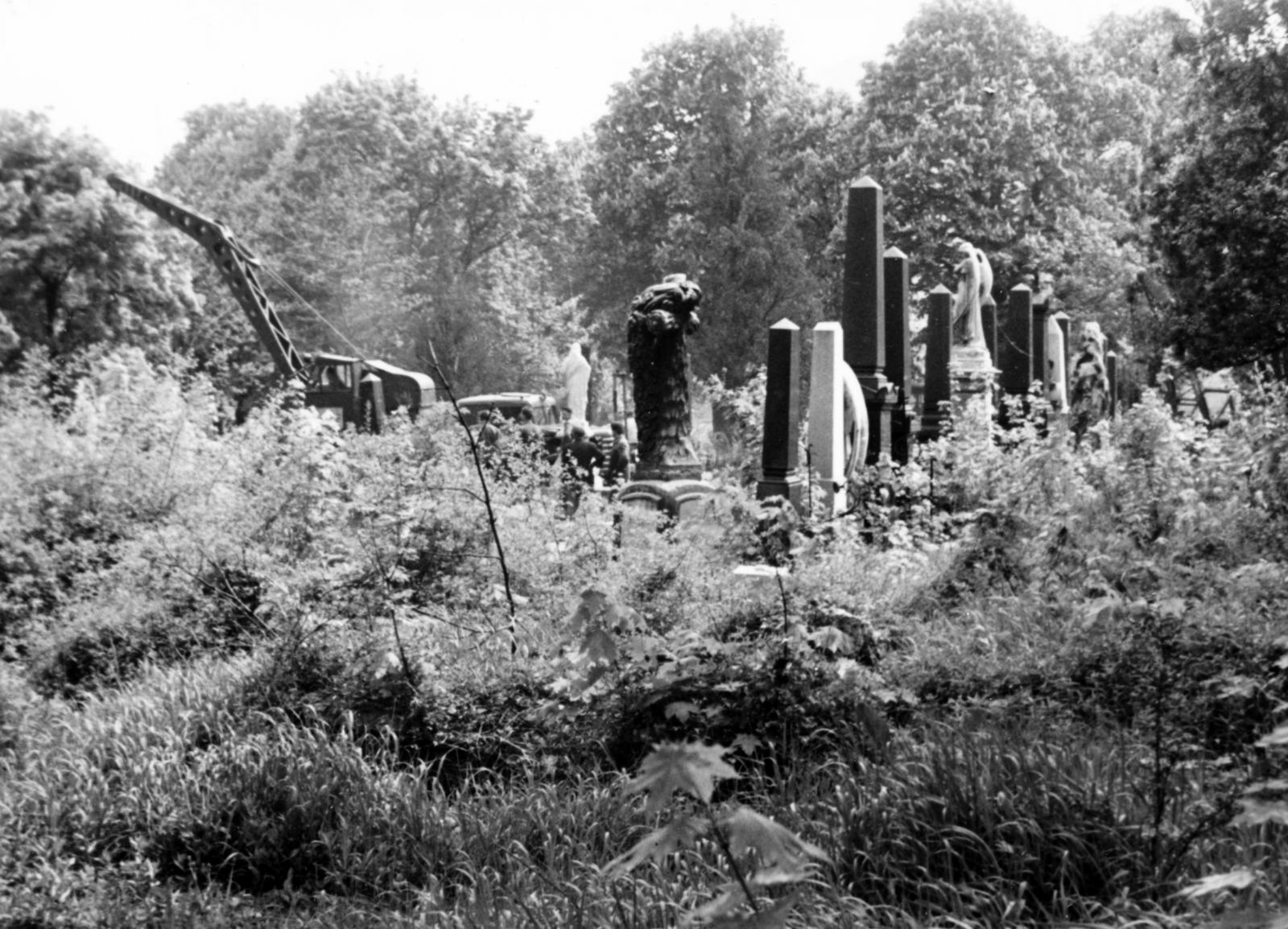 Hungary, Budapest XII., a Csörsz utca - Sirály utca - Jagelló út határolta Németvölgyi temető (később Gesztenyés-kert) területén készült a felvétel., 1962, Hegyvidéki Helytörténeti Gyűjtemény, cemetery, Budapest, Fortepan #234477