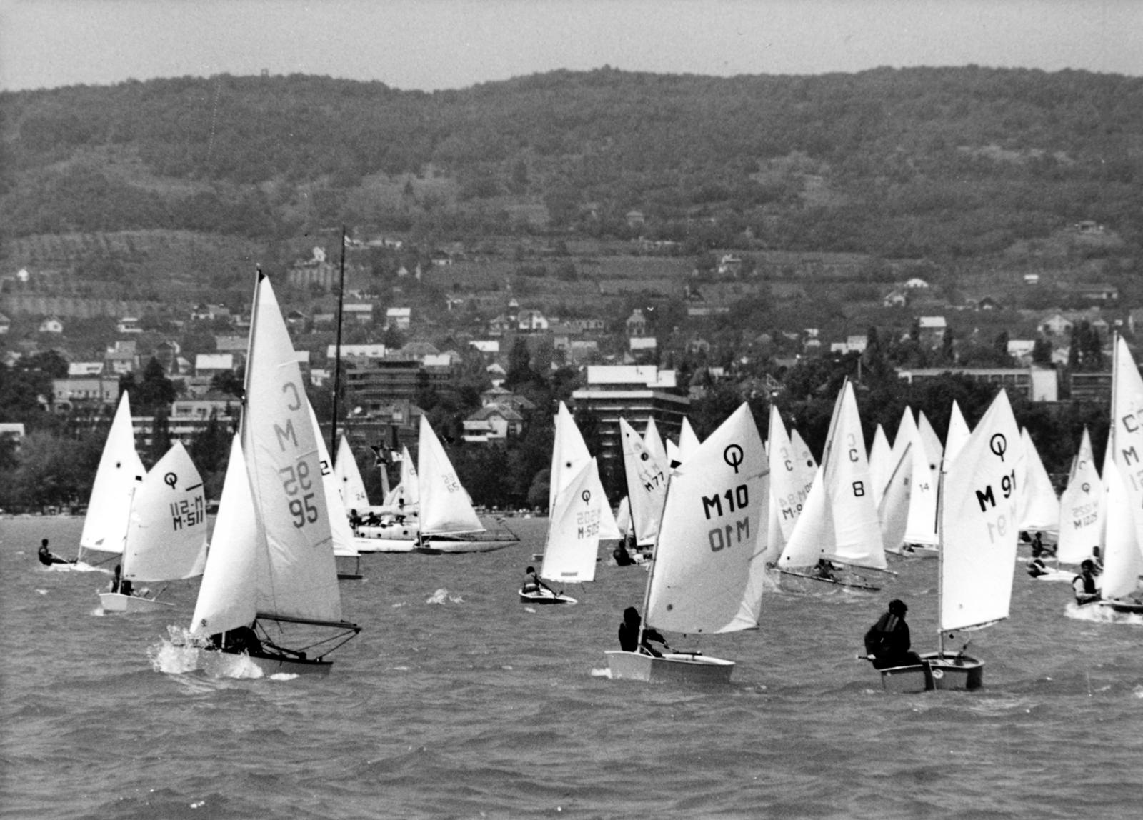 1977, Hegyvidéki Helytörténeti Gyűjtemény, yacht racing, sailboat, sailing, Fortepan #234697
