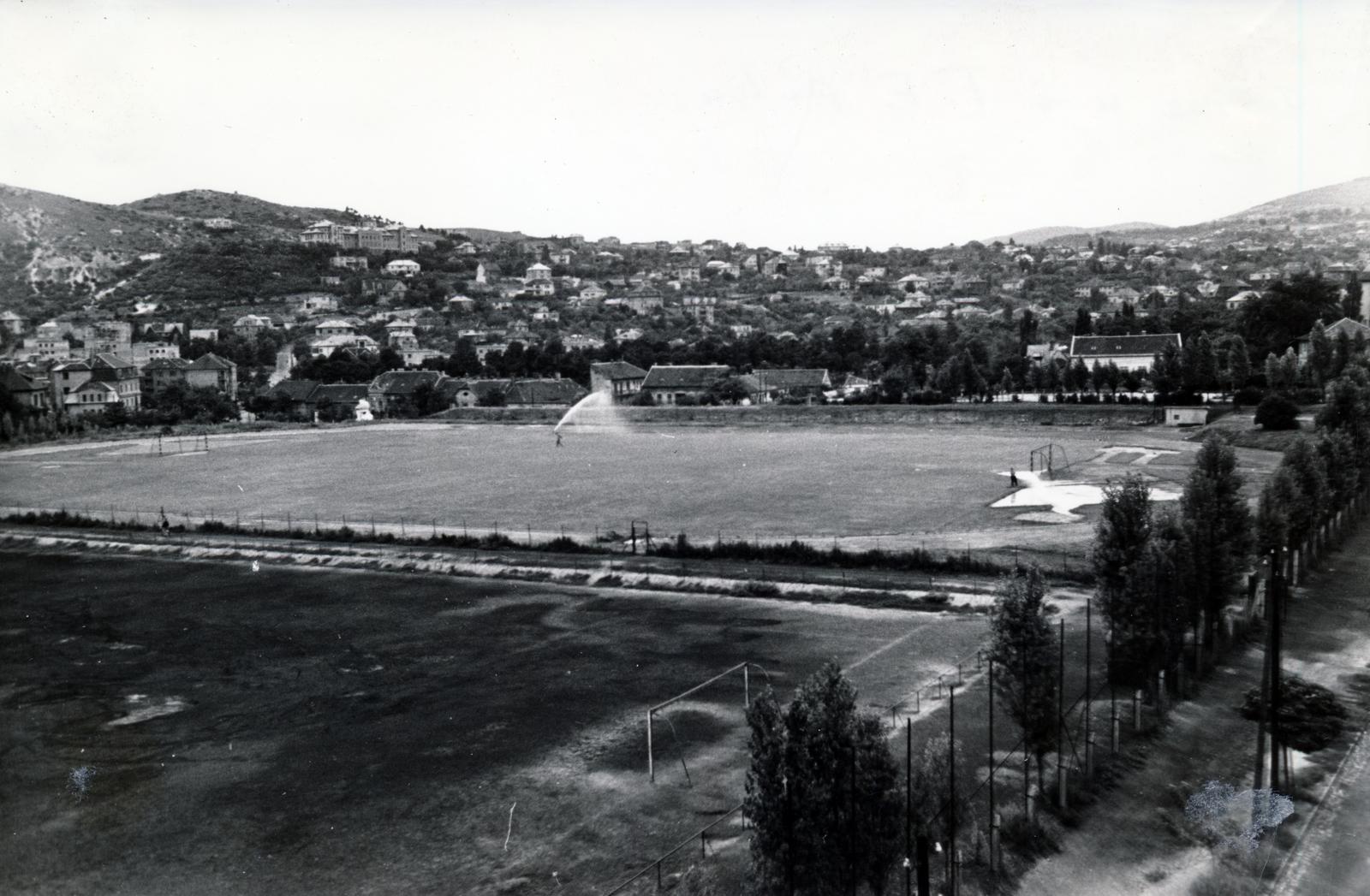 1962, Hegyvidéki Helytörténeti Gyűjtemény, Fortepan #234711