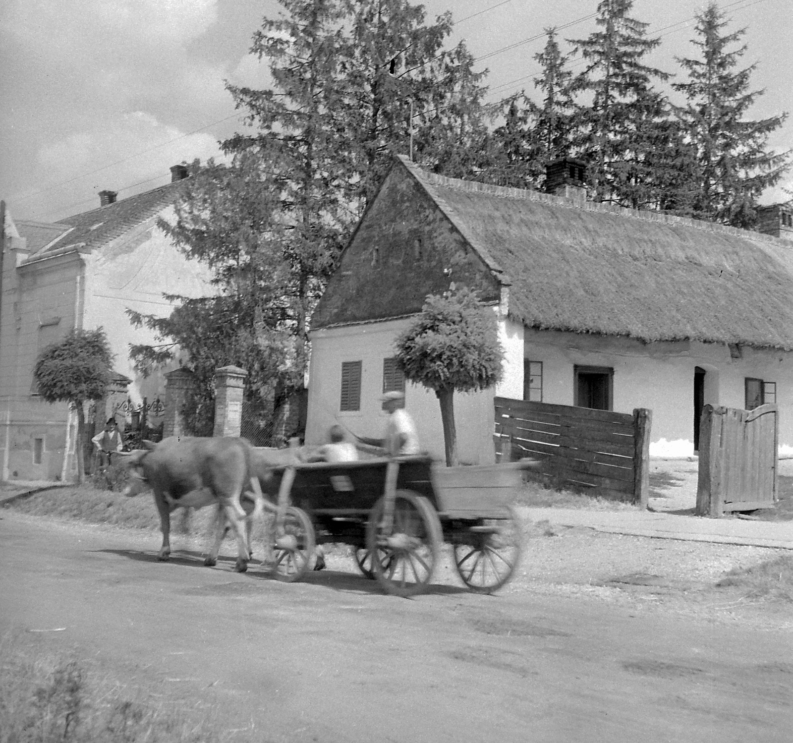 Hungary, Vasvár, Alkotmány utca 45., 1952, Építész, chariot, street view, farmhouse, Fortepan #23488