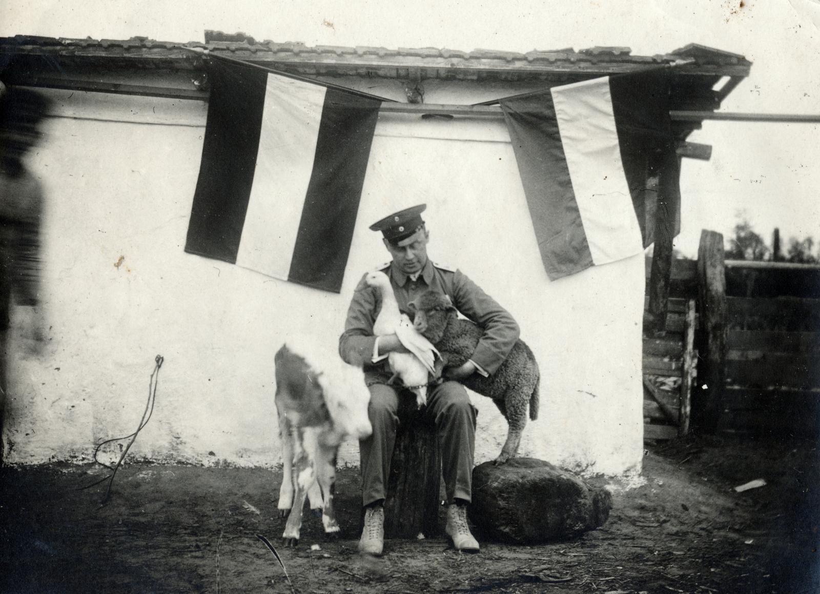 1915, Galambos Rita, flag, cub, Fortepan #234899