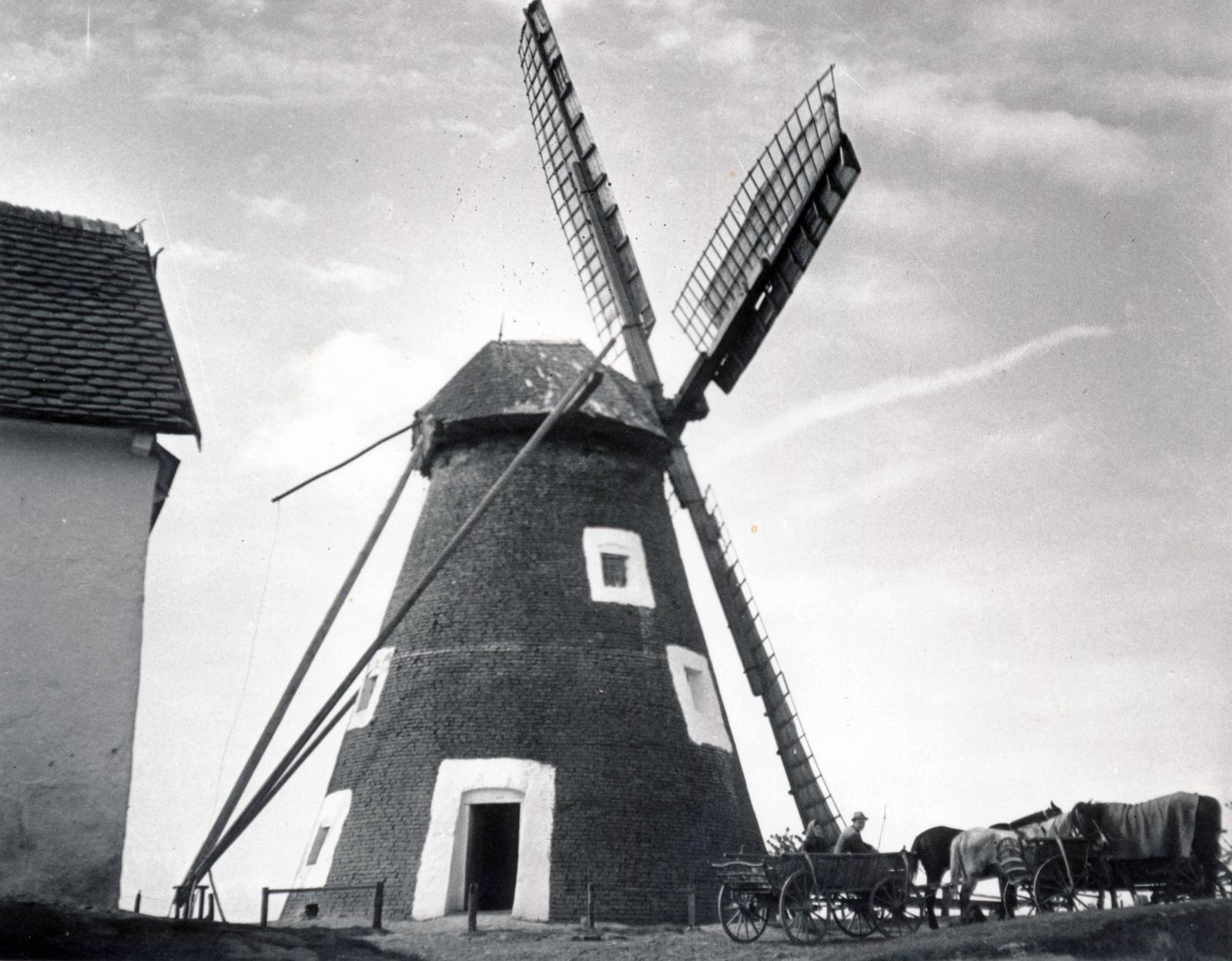 Szerbia, Zsablya, szélmalom az Egres (Jegrička) folyó partján., 1941, Lőcsei (Tóth) Péter, szélmalom, szekér, Fortepan #234950