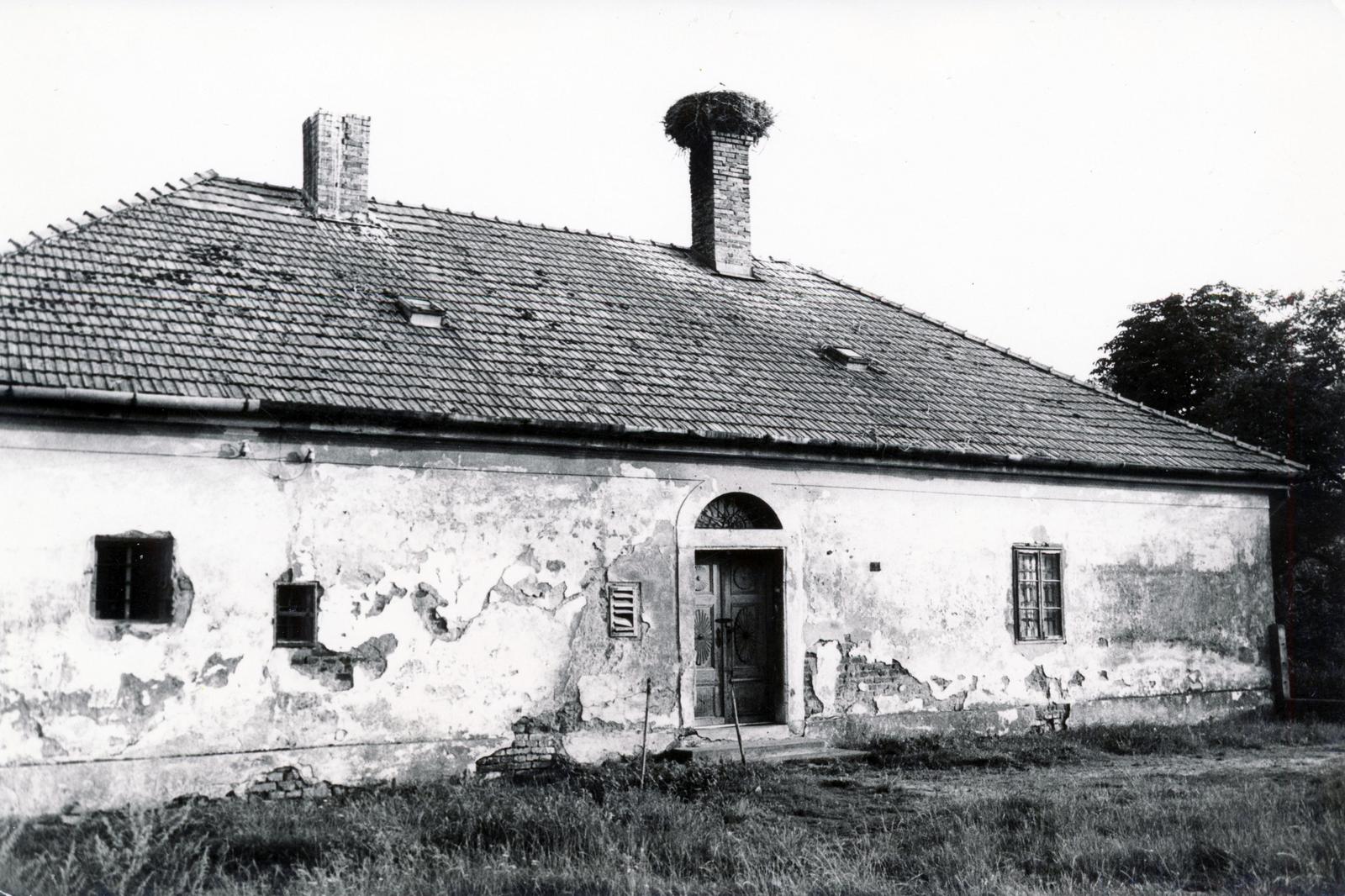 1972, Lőcsei (Tóth) Péter, stork nest, Fortepan #234965