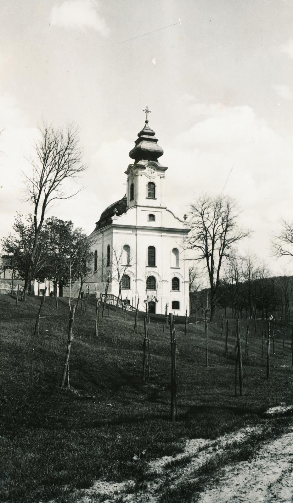 Magyarország, Gödöllő,Máriabesnyő, Nagyboldogasszony-bazilika., 1924, Várallyai Katus, facsemete, templom, Fortepan #235009