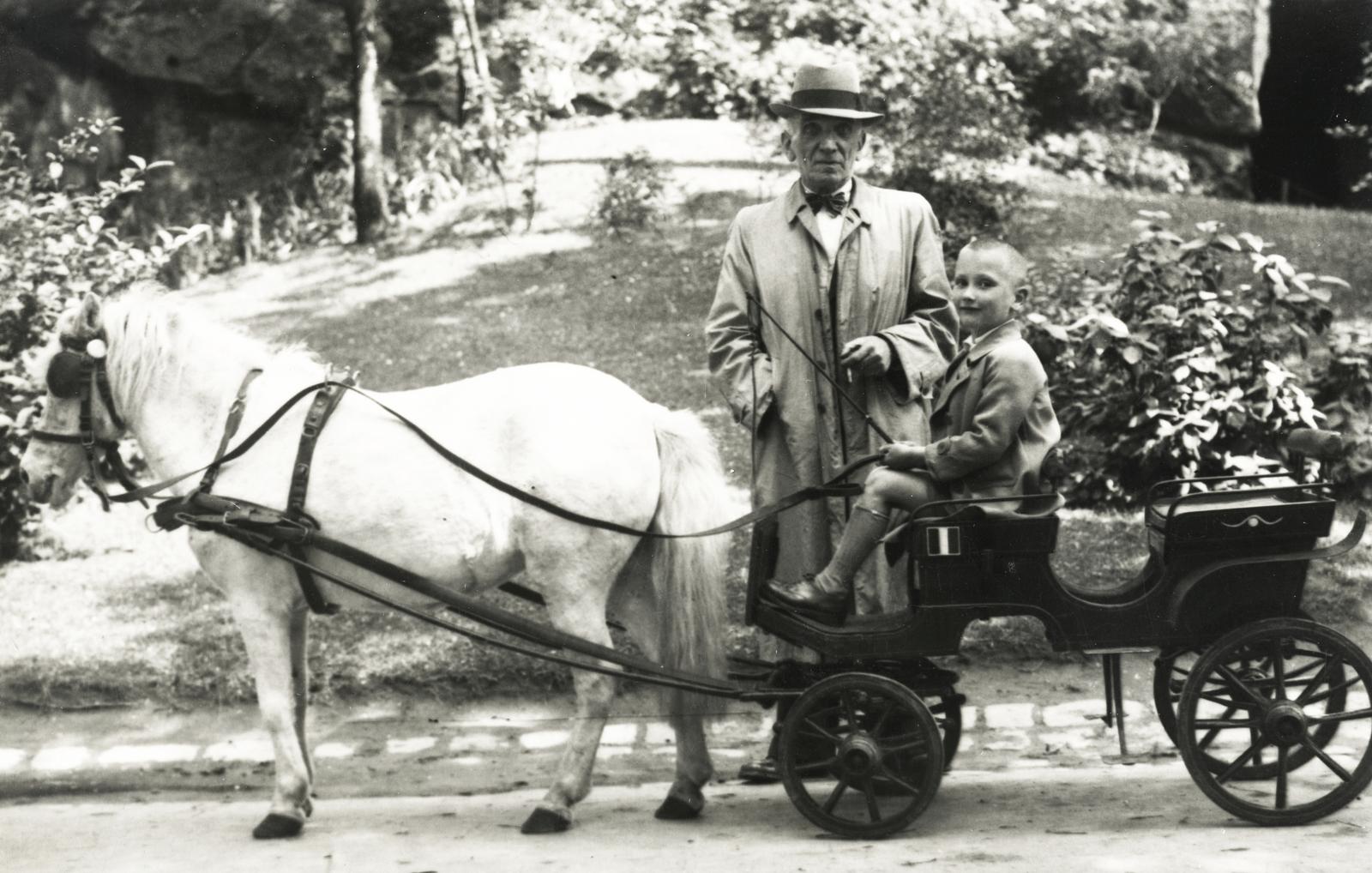 Hungary, Zoo, Budapest XIV., pónifogat., 1934, Halász Gábor, pony, coach, kid, Budapest, Fortepan #235142