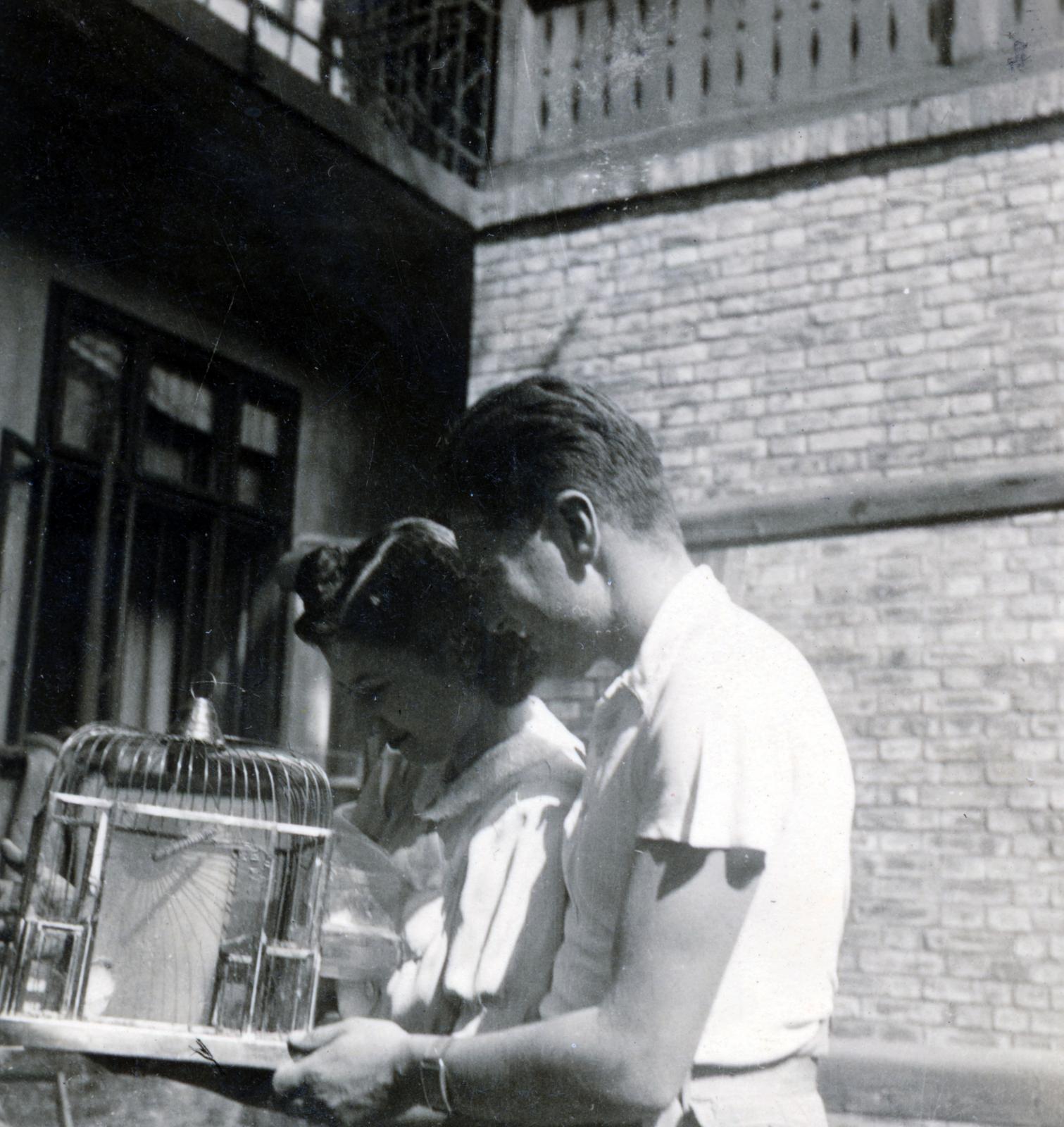 1936, Zsombor Ede, bird cage, Fortepan #235181
