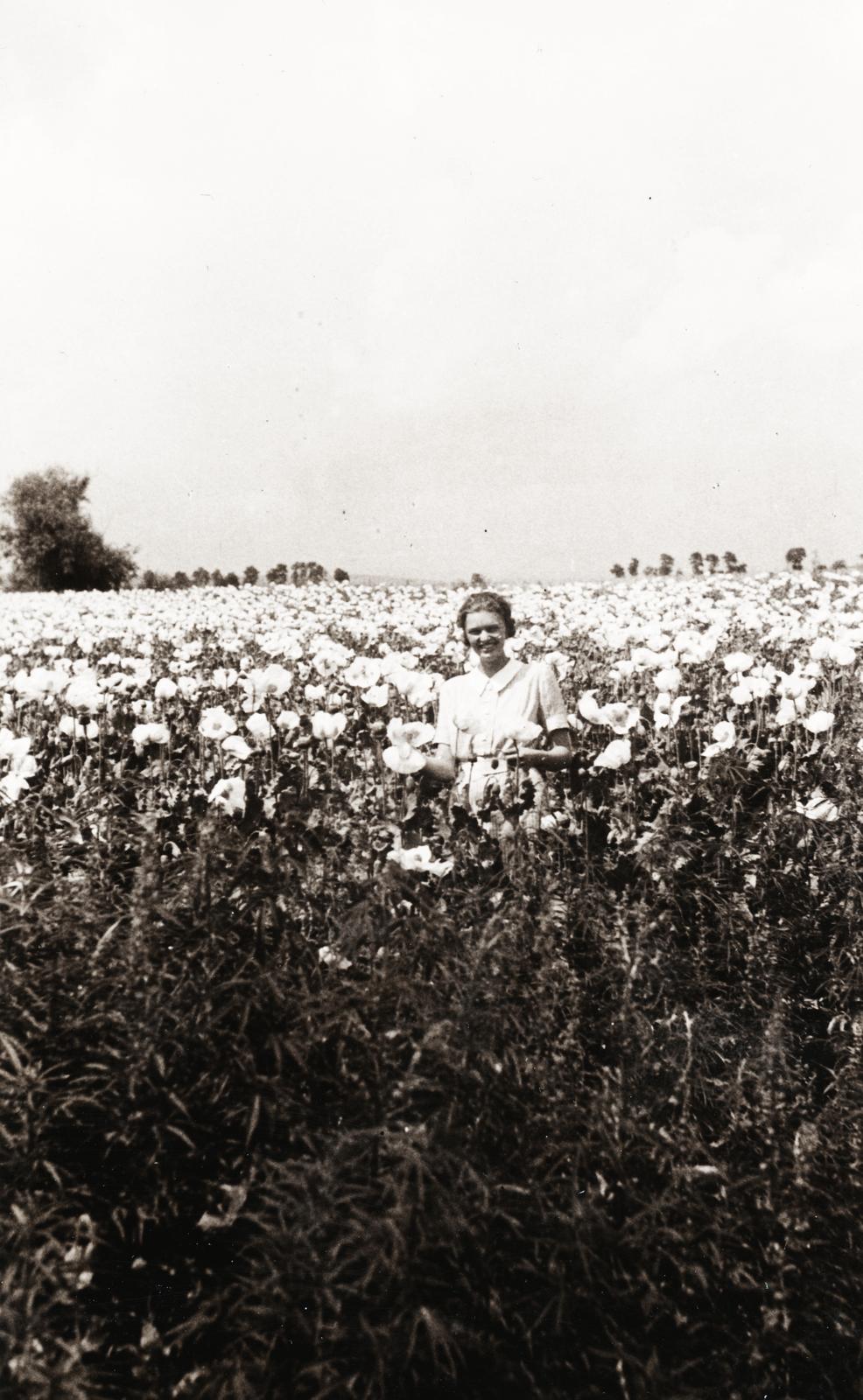 1936, Fejér Csaba-Kindert Piroska, agriculture, Fortepan #235240