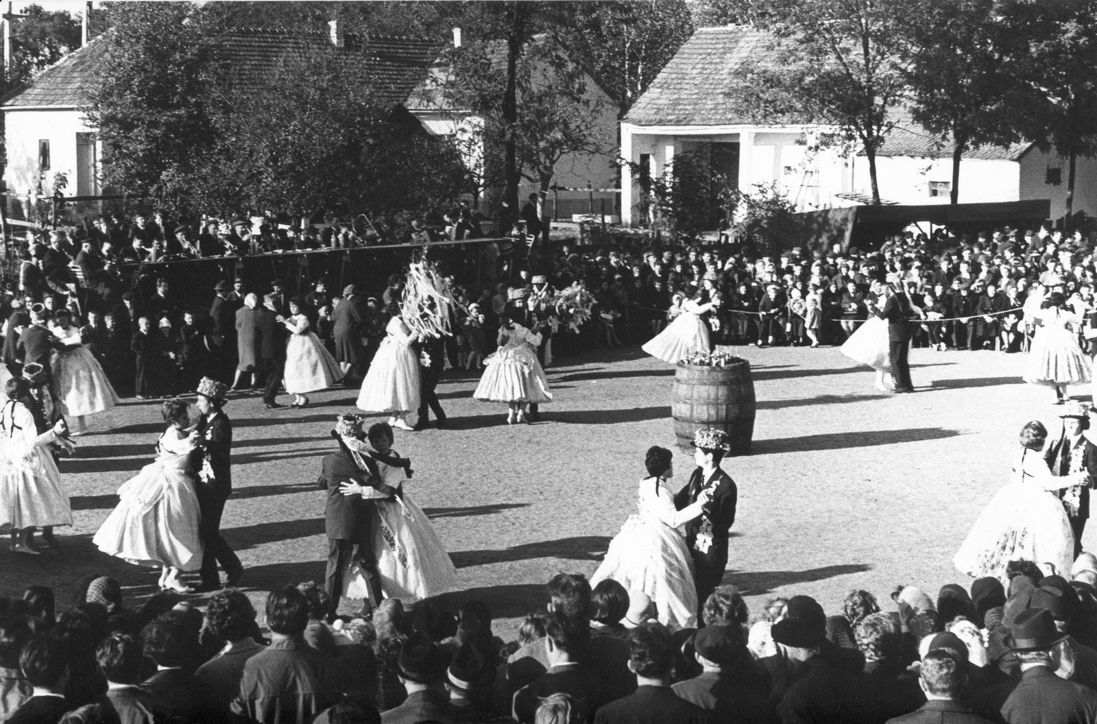1966, Bencseky Mátyás, Fortepan #235274