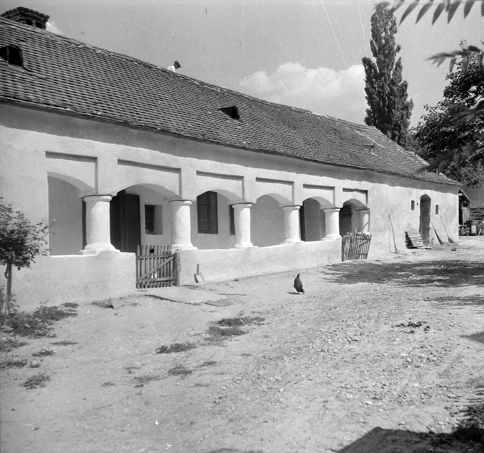 Magyarország, Vasvár, Alkotmány utca 49., 1952, Építész, parasztház, Fortepan #23530