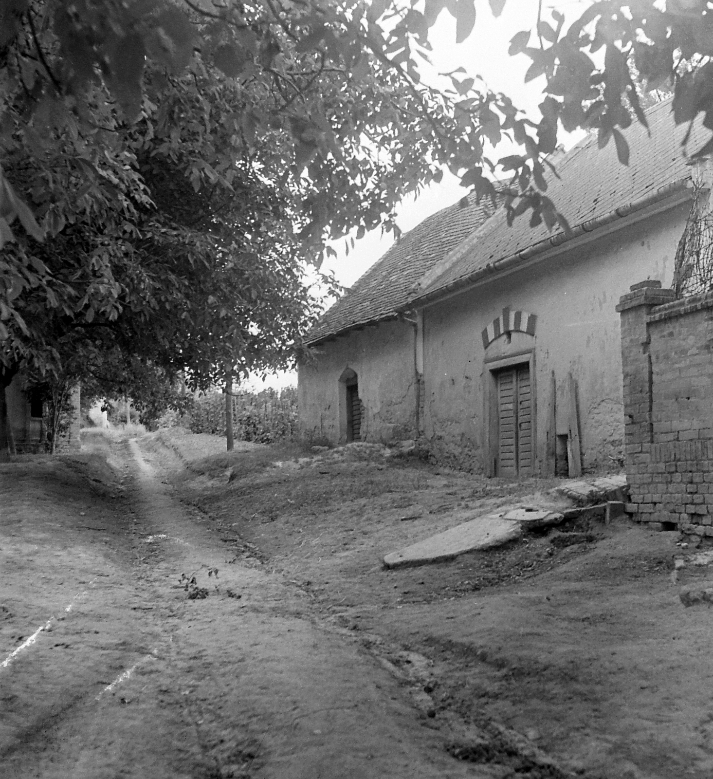 Hungary, Mór, Hársfa utca., 1953, Építész, street view, Fortepan #23531