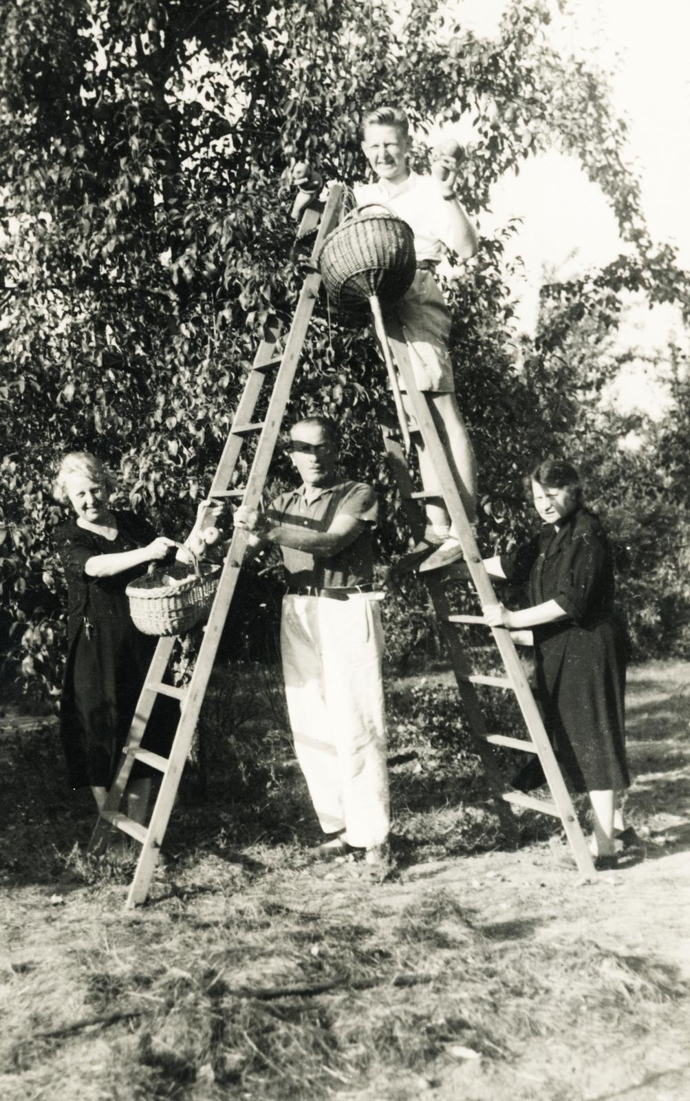 1937, Fejér Csaba-Kindert Piroska, Fortepan #235462