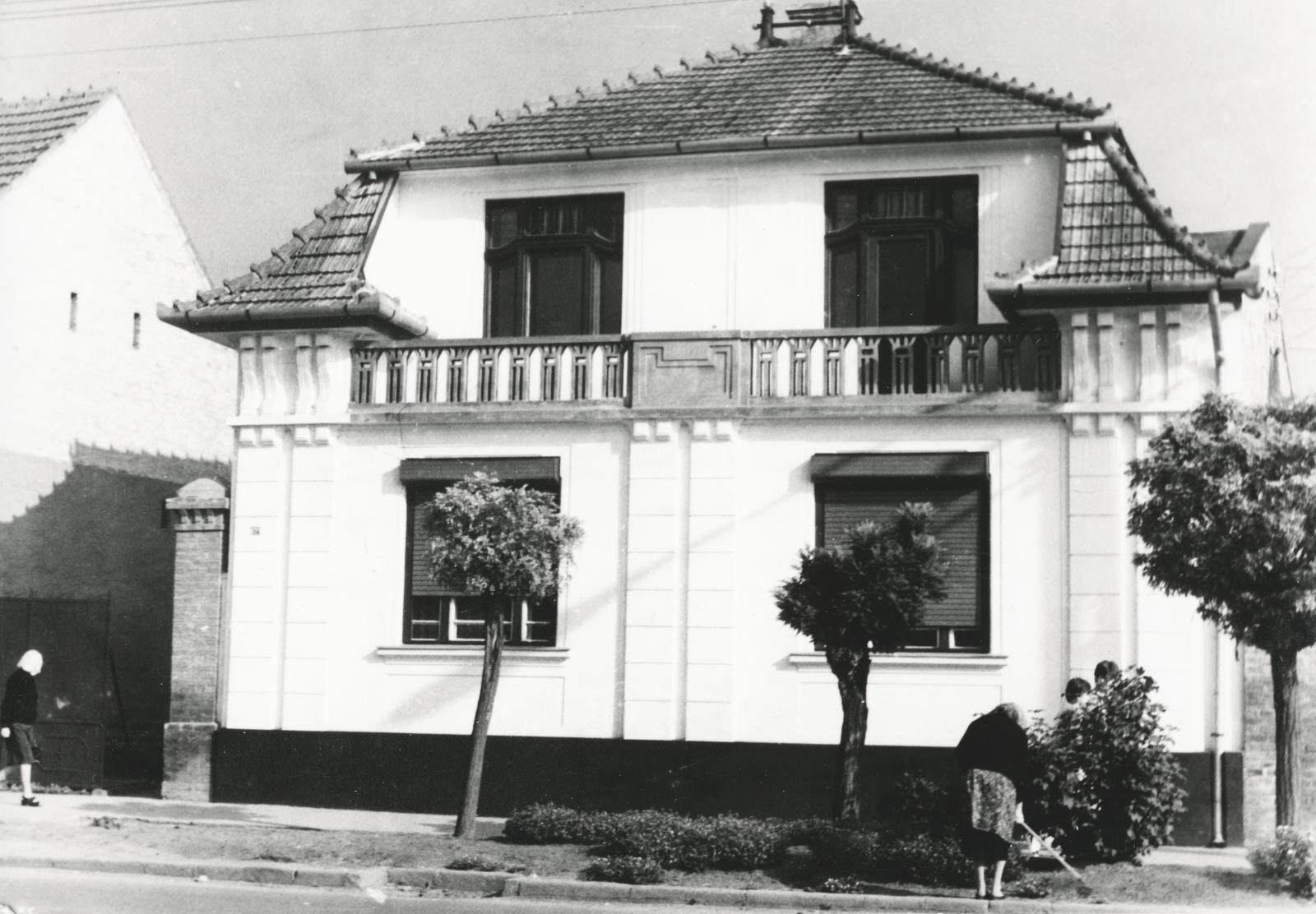1960, Kenderessy Tibor, Fortepan #235543