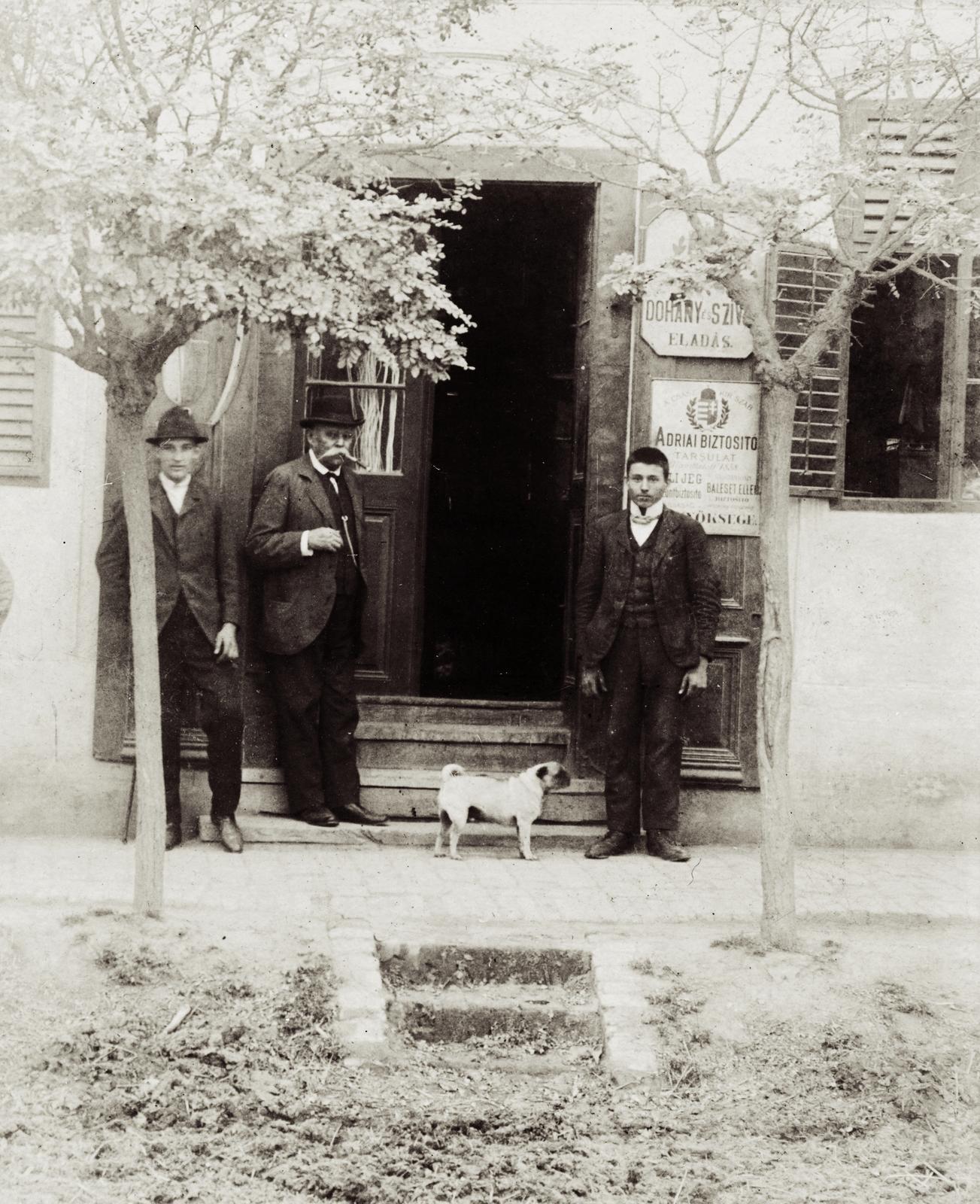 1923, Kenderessy Tibor, kutya, trafik, Fortepan #235554