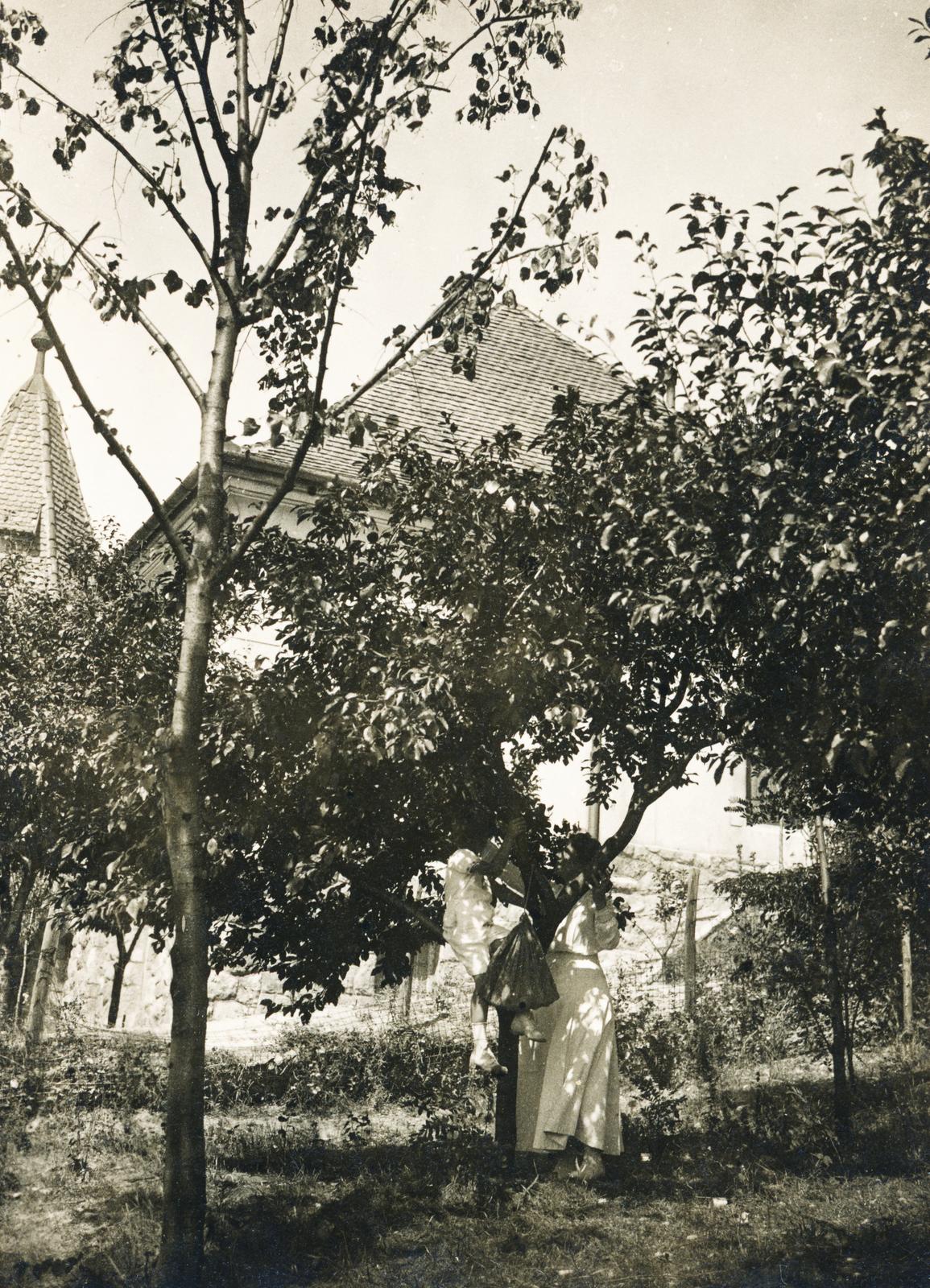 1918, Kenderessy Tibor, Fortepan #235604