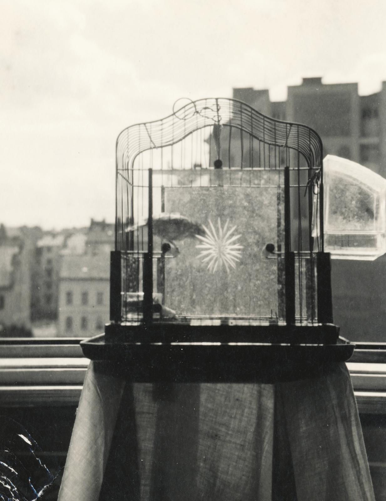 1938, Kenderessy Tibor, Fortepan #235623