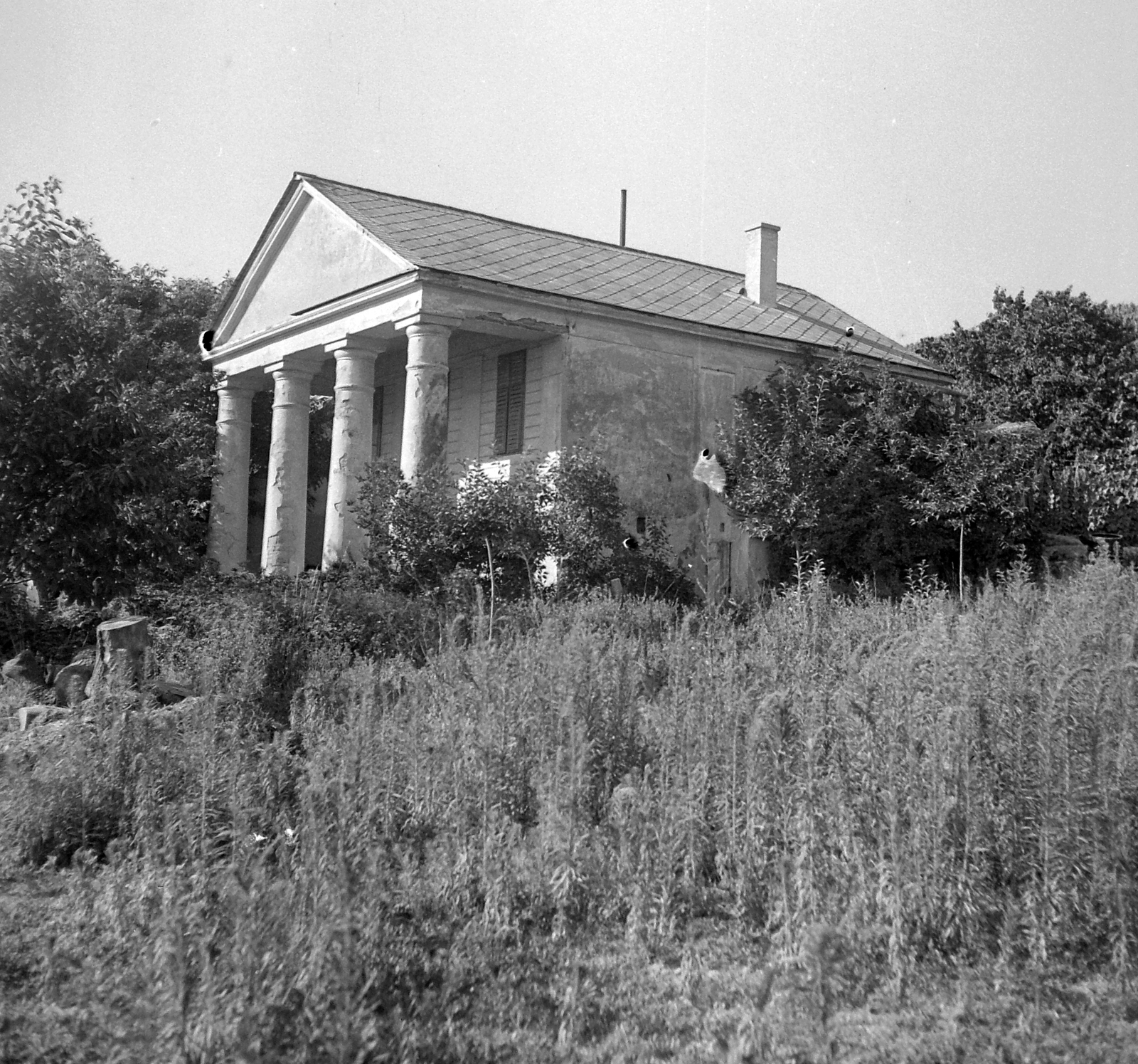 Hungary, Mór, Pince utca, borospince., 1953, Építész, winery, press house, wine cellar, photo aspect ratio: square, pillar, Fortepan #23571