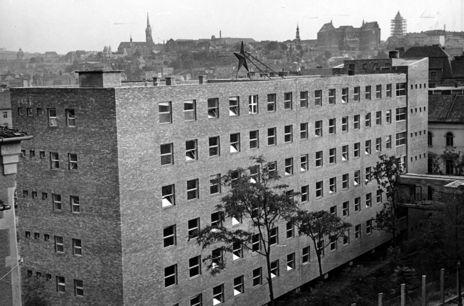 1954, Gellért Andor Tamás, Fortepan #235792