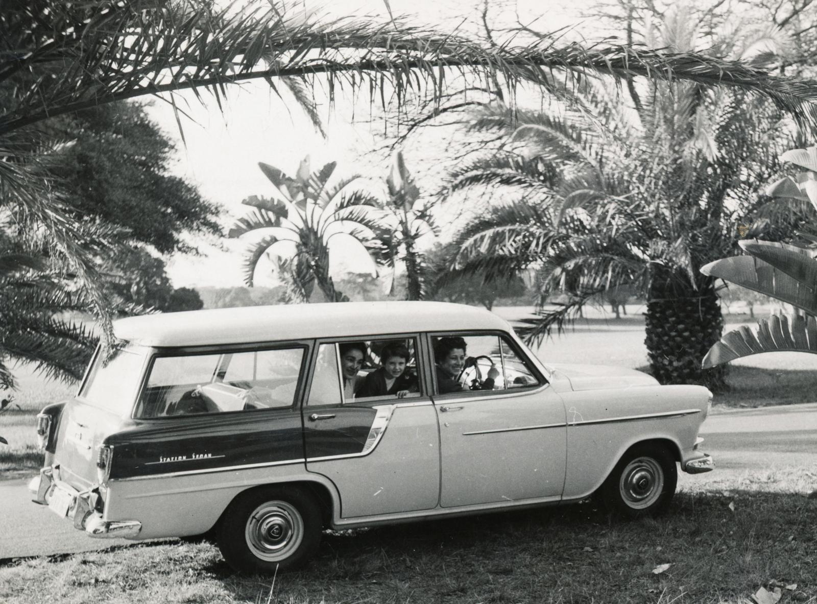 1959, Karsai Kata, palm tree, Holden-brand, Fortepan #236017