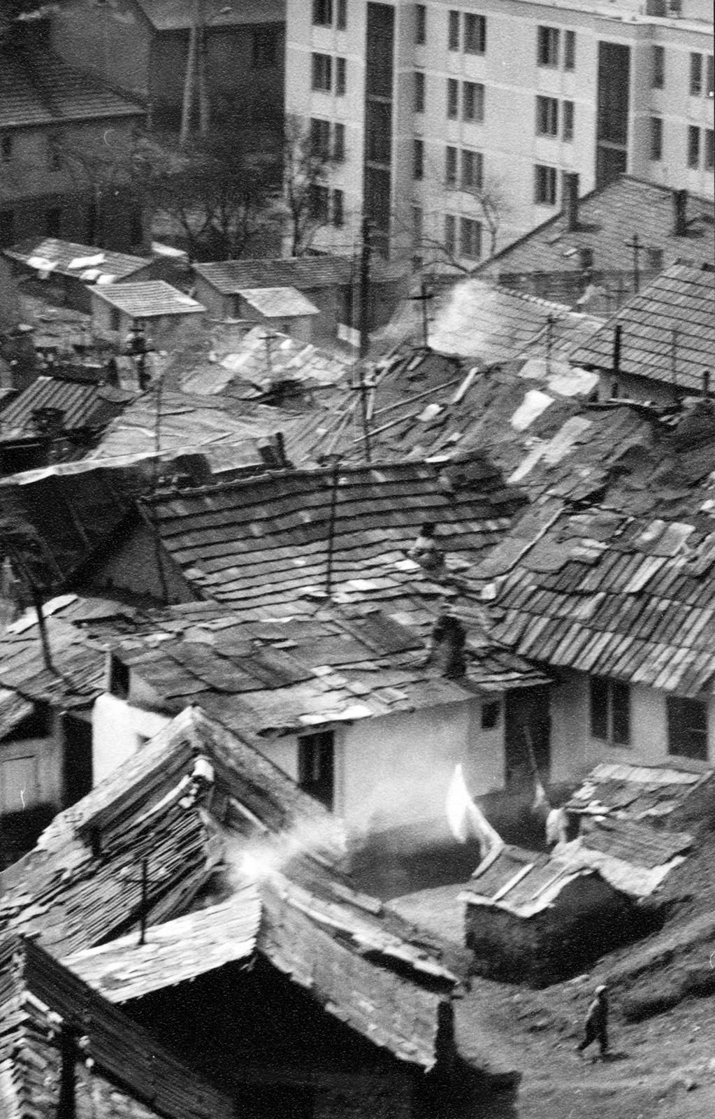 Hungary, Salgótarján, Pécskő út, a pécskődombi (kopaszdombi) cigánytelep., 1967, Éltető, poverty, plan view, roof, Fortepan #236216