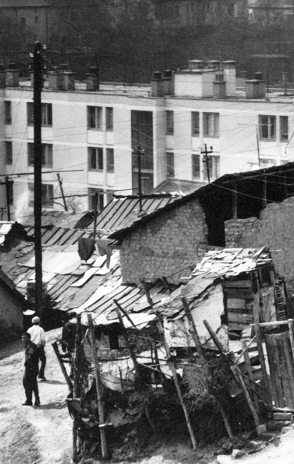 Hungary, Salgótarján, Pécskő út, a pécskődombi (kopaszdombi) cigánytelep., 1967, Éltető, poverty, hovel, concrete block of flats, roof, Fortepan #236217