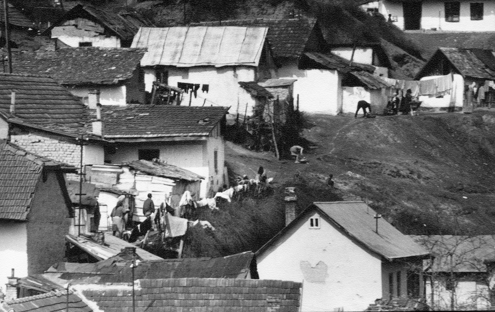 1967, Éltető, Fortepan #236220
