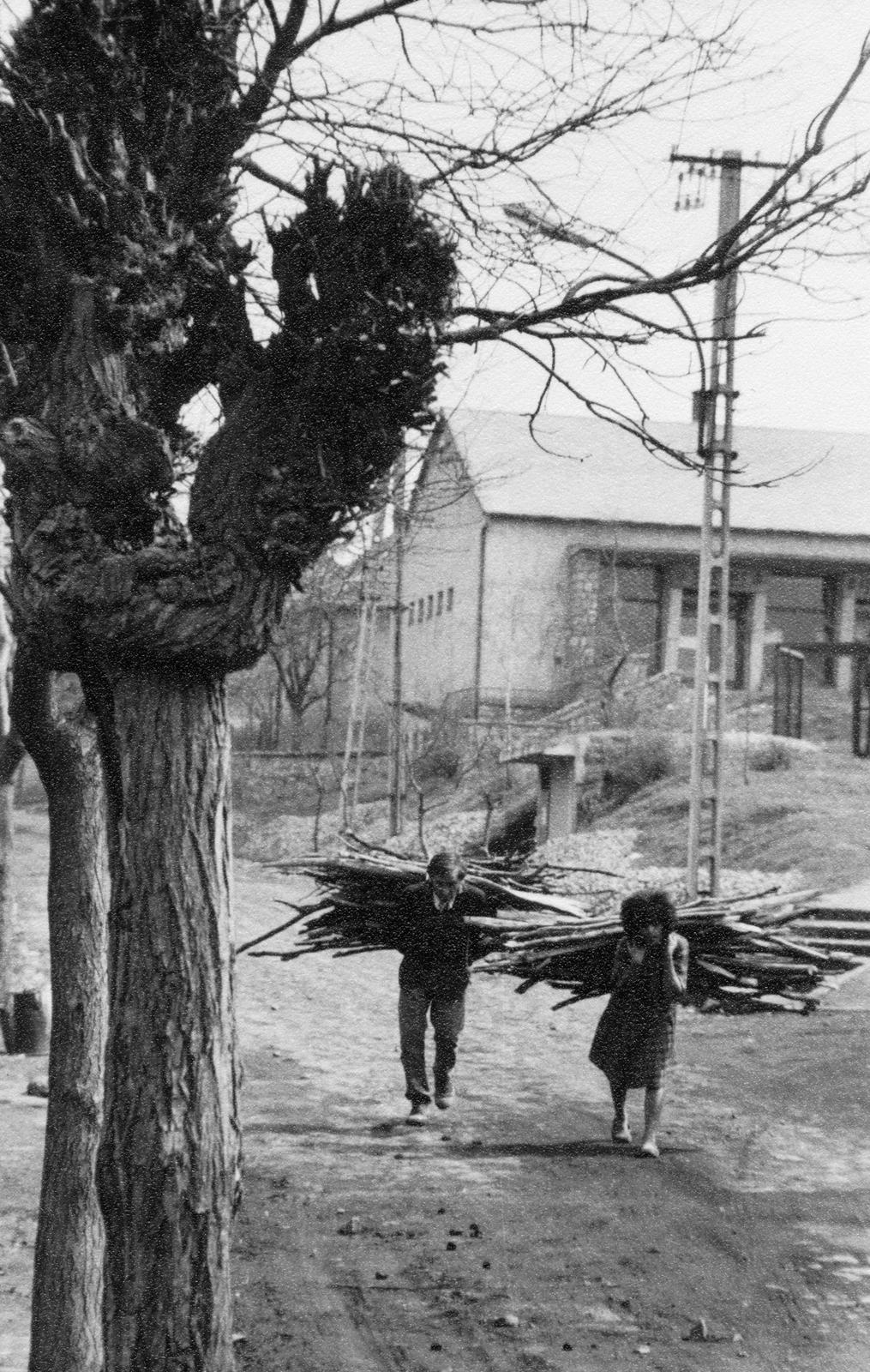 Hungary, Salgótarján, Damjanich János utca., 1967, Éltető, firewood, dirt road, sitting on the back of a man, Fortepan #236221