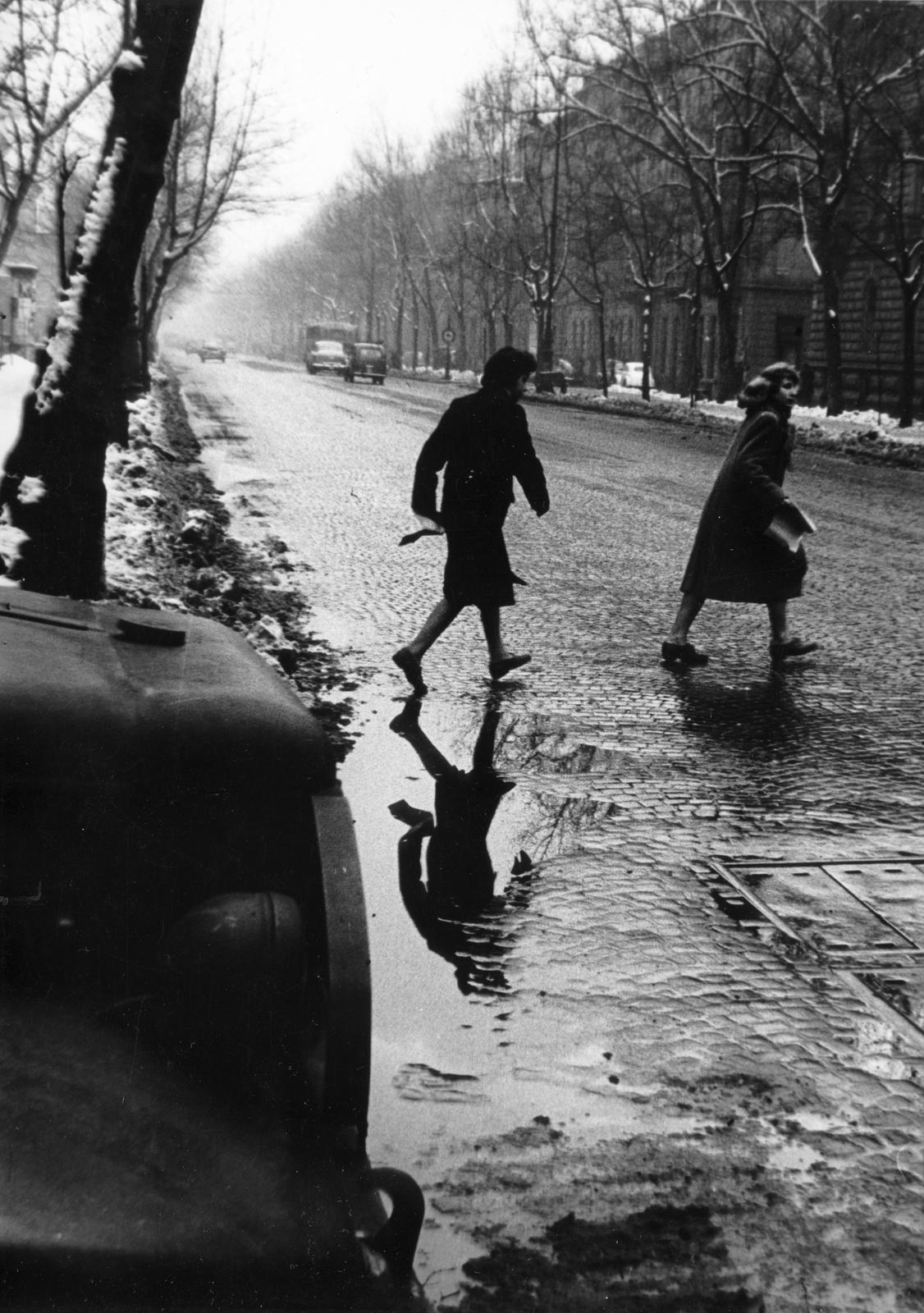 1962, Éltető, reflection, puddle, pedestrian, Fortepan #236239