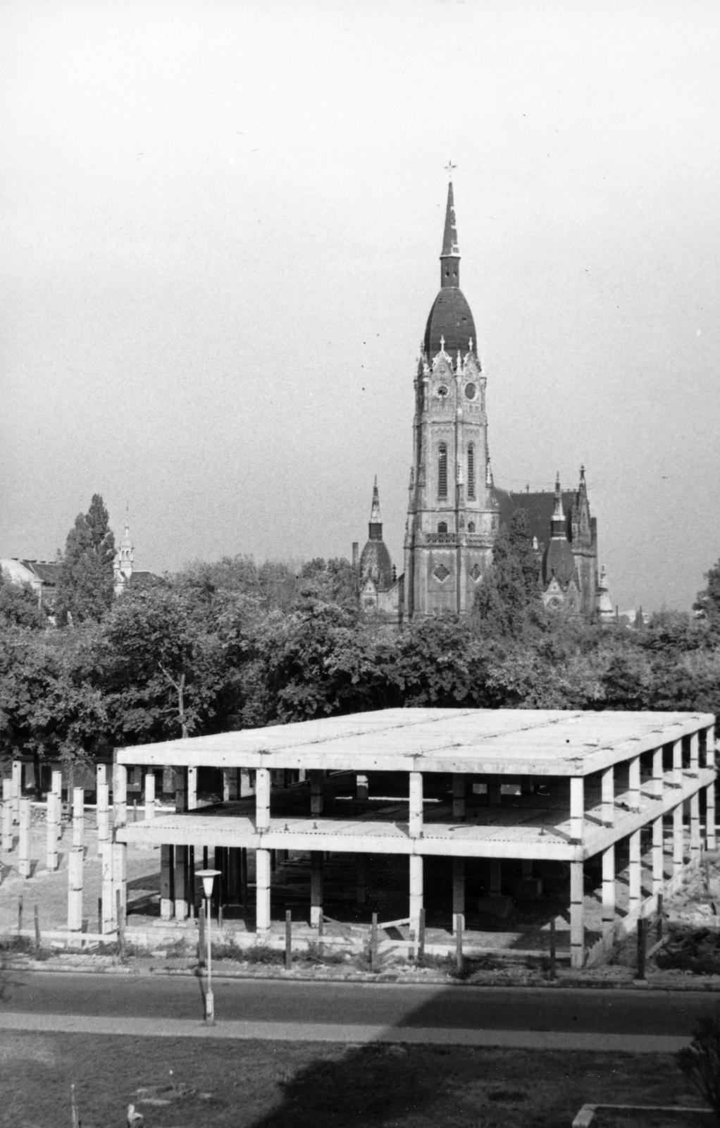 1967, Éltető, Fortepan #236249