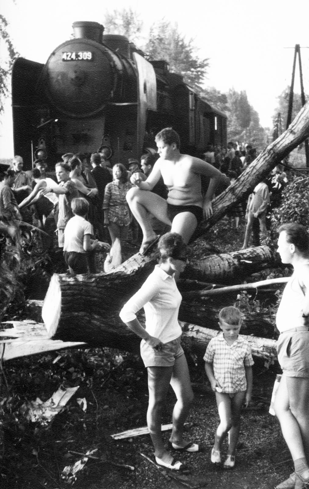 1966, Éltető, baleset, fán ülni, félmeztelen, Fortepan #236258
