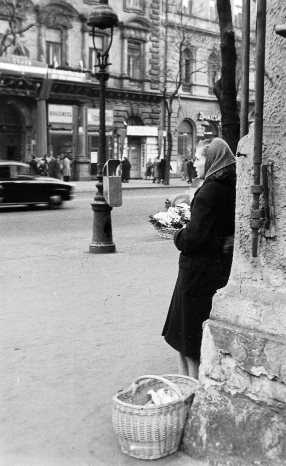Magyarország, Budapest VI., Jókai tér - Andrássy út (Népköztársaság útja) sarok, hóvirágárus., 1961, Éltető, Best of, virágárus, útkereszteződés, kosár, Budapest, szemetes, kandeláber, Fortepan #236329