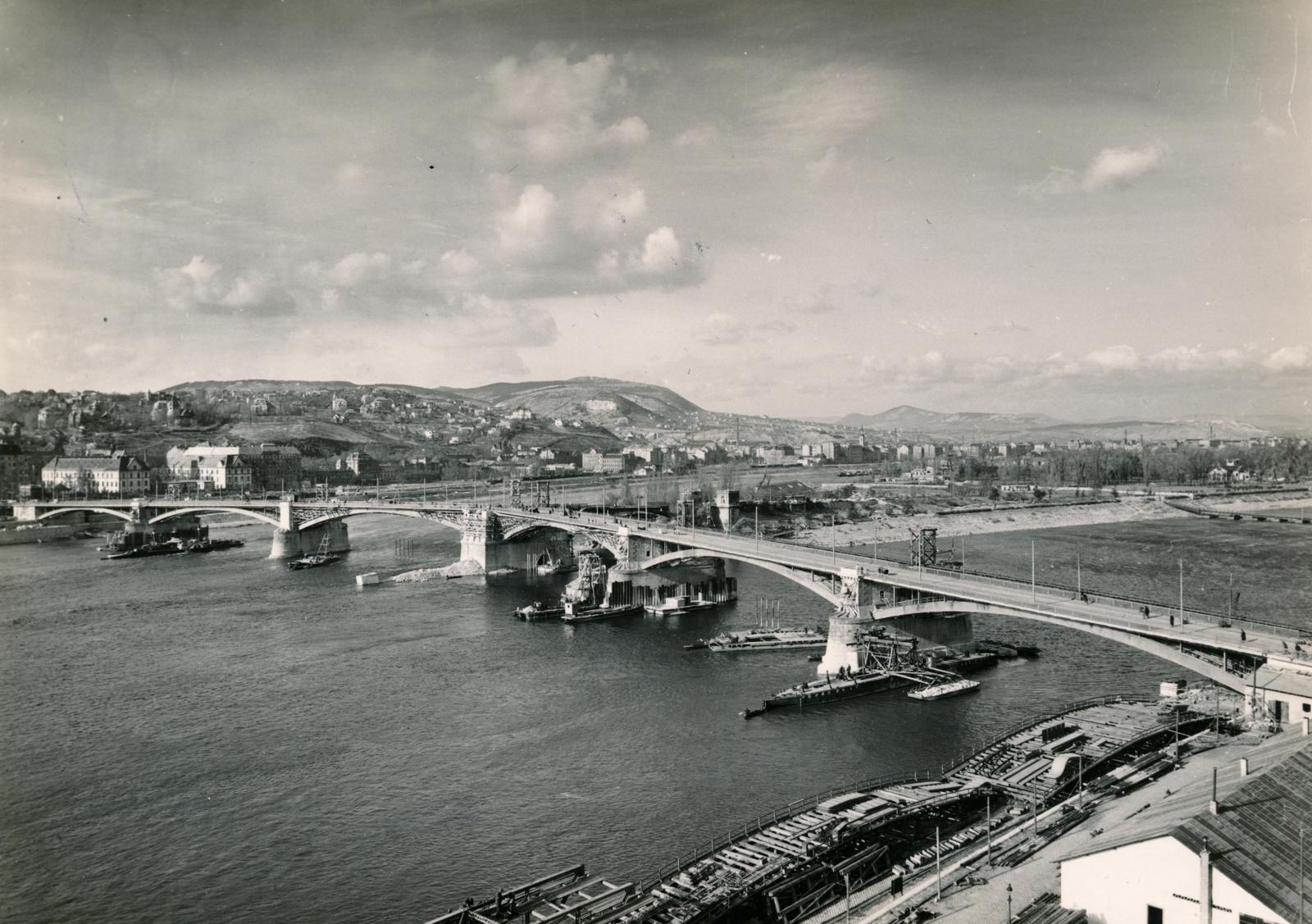 1946, Gál Edit, Fortepan #236560