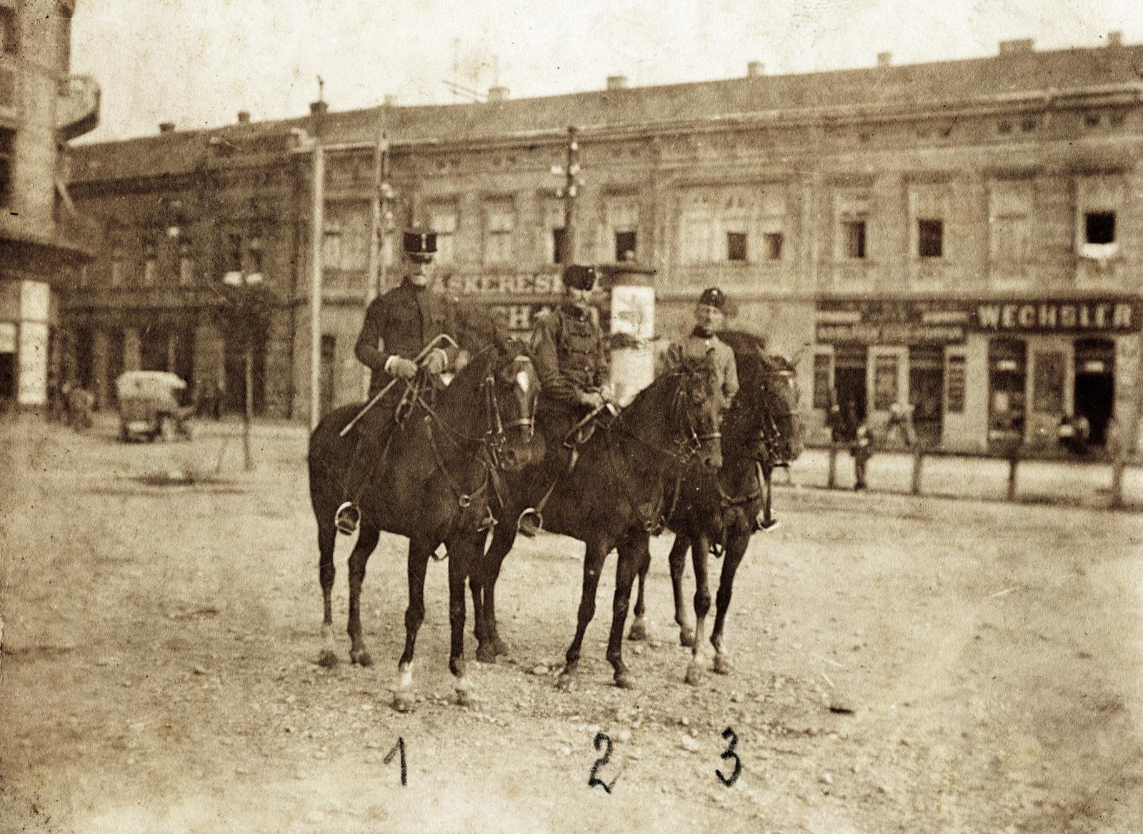 1914, Csicsery-Rónay István, Fortepan #236814