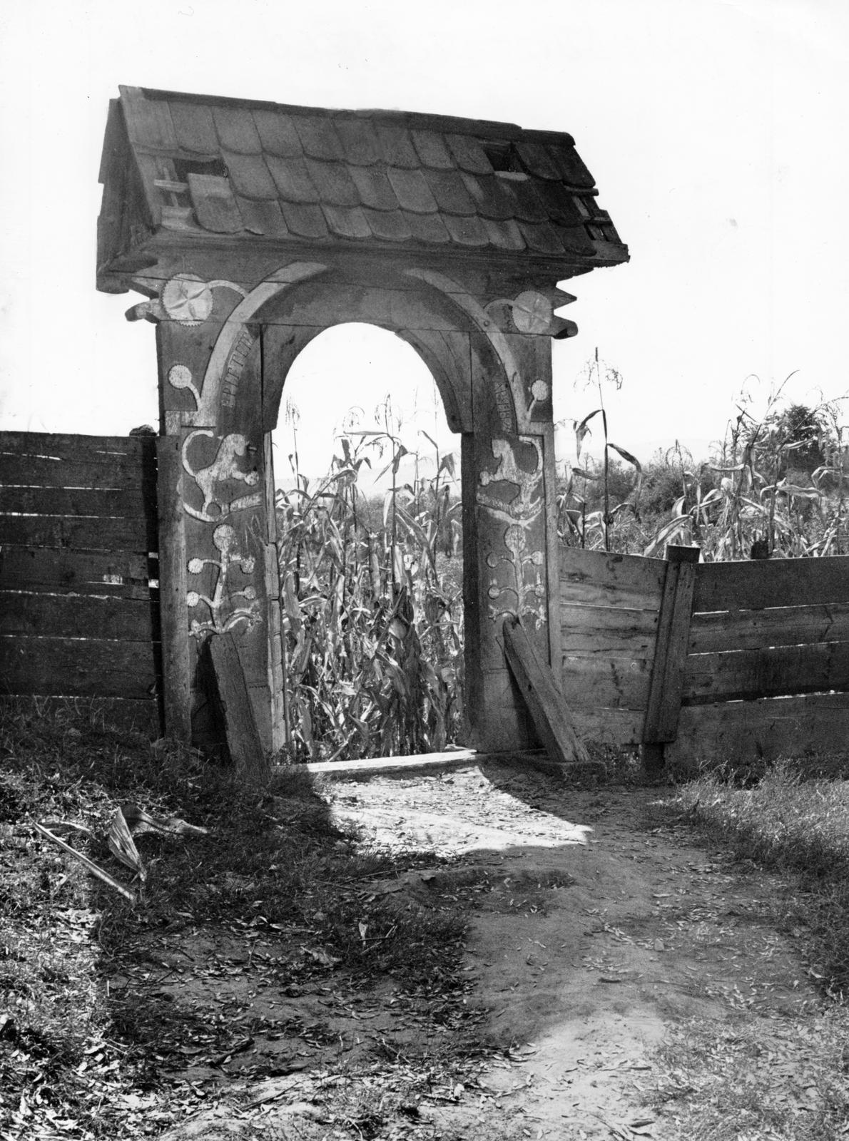 1974, Ódon Antikvárium, Kútvölgyi Mihály, Fortepan #237589