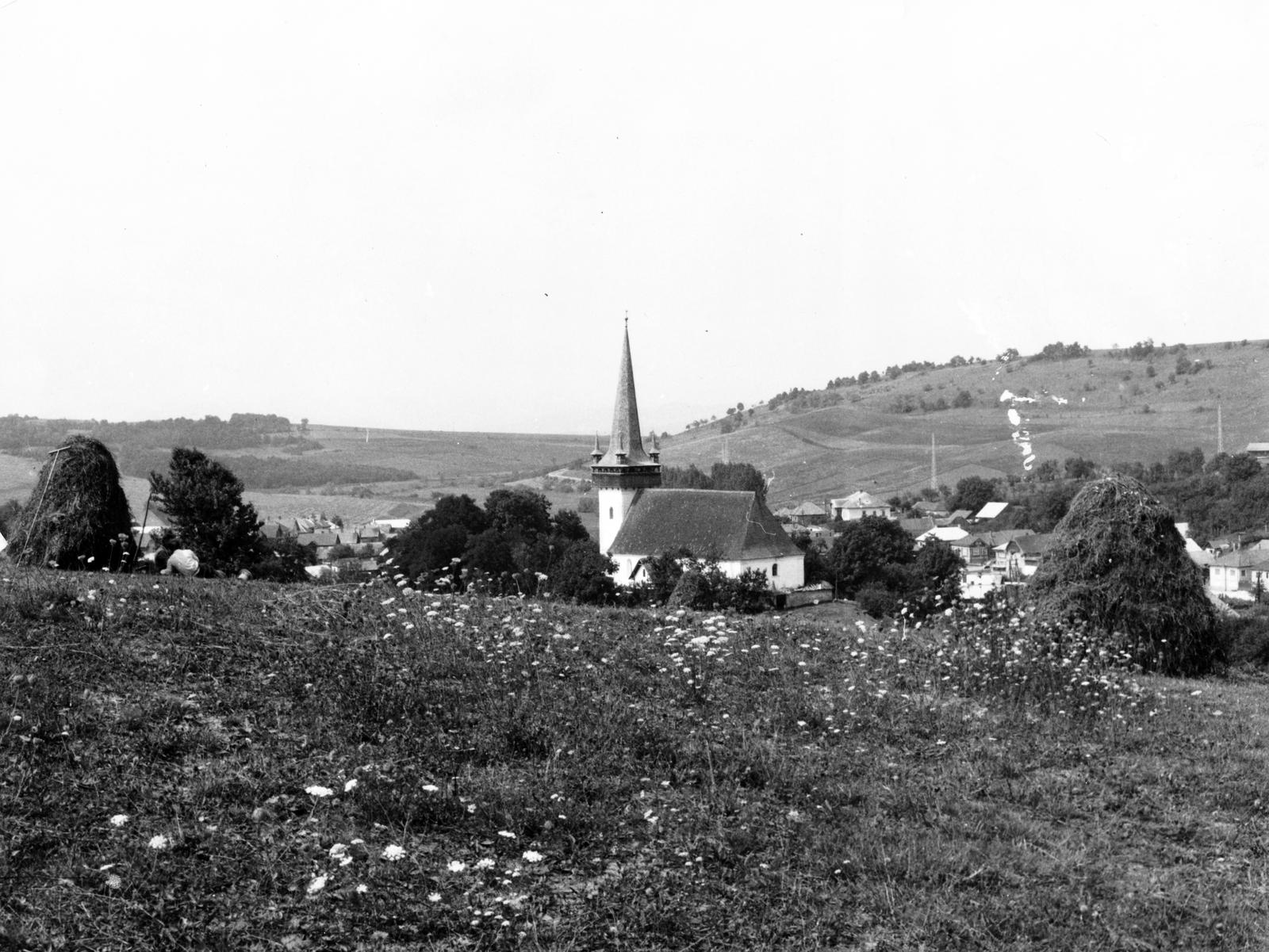 1974, Ódon Antikvárium, Kútvölgyi Mihály, Fortepan #237610