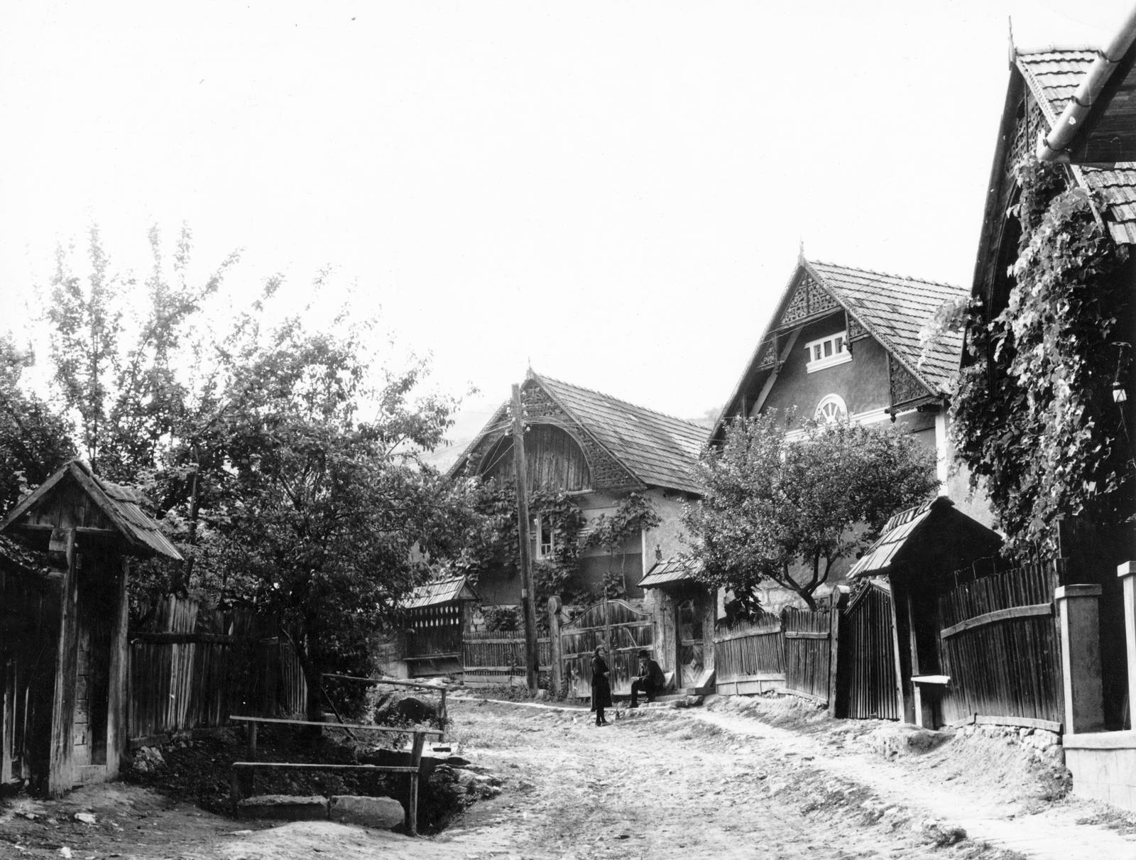 1974, Ódon Antikvárium, Kútvölgyi Mihály, Fortepan #237612