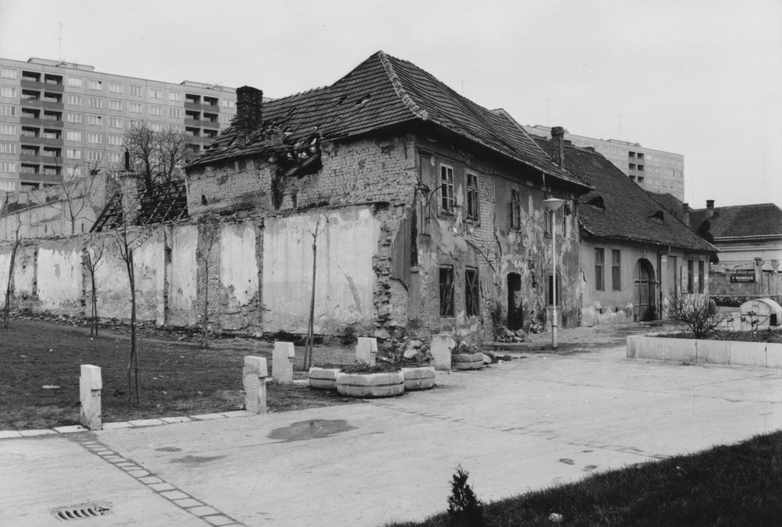 1979, Bordács Ferenc, Fortepan #237630