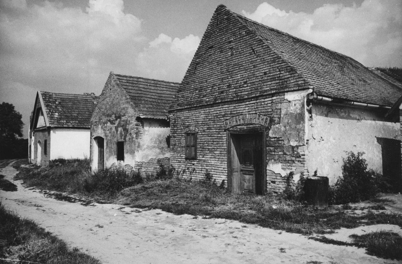 1980, Bordács Ferenc, Fortepan #237757