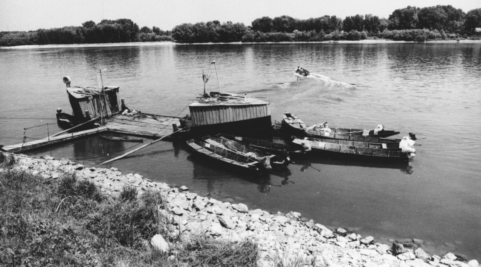 1975, Bordács Ferenc, Fortepan #237768